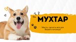Империя Мухтара (Zyryanovskaya ulitsa, 34/1), pet shop