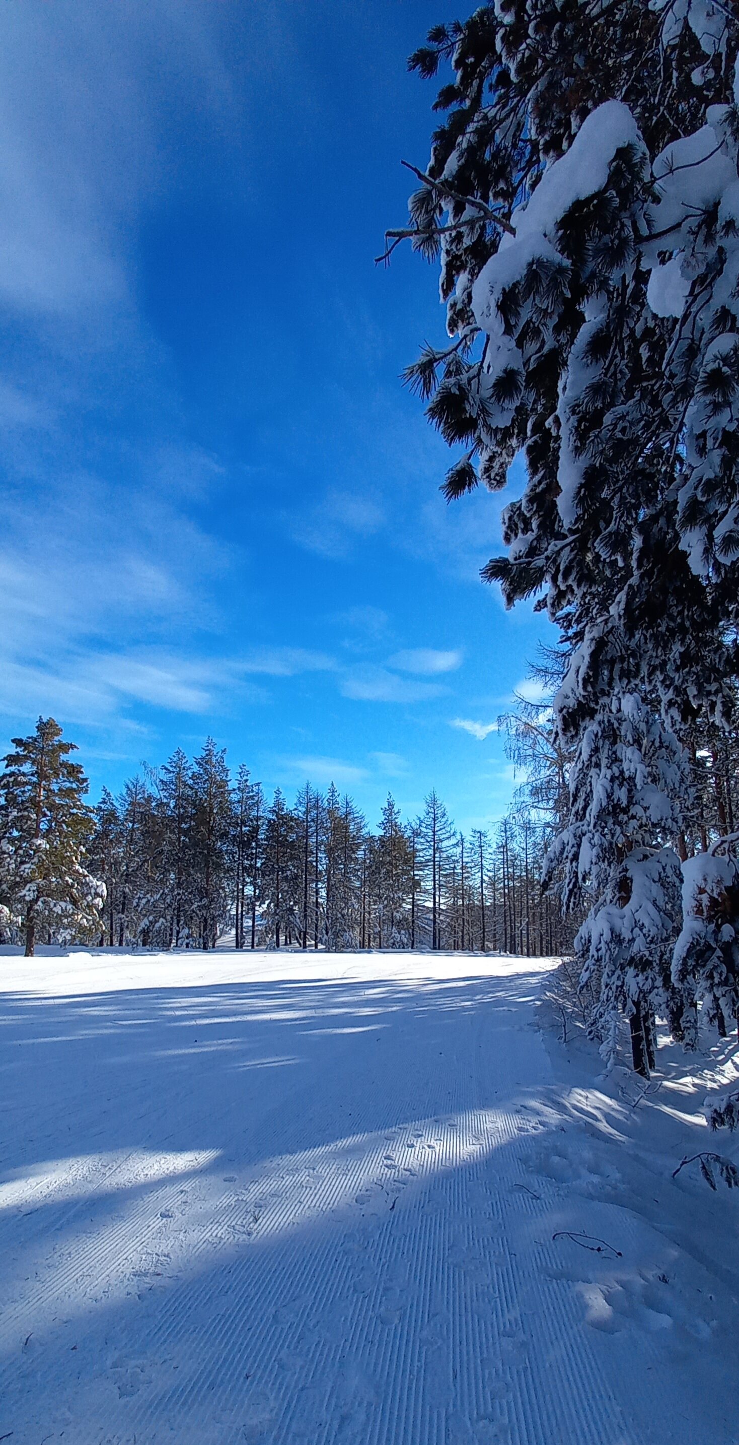 Фото Альпин Шале