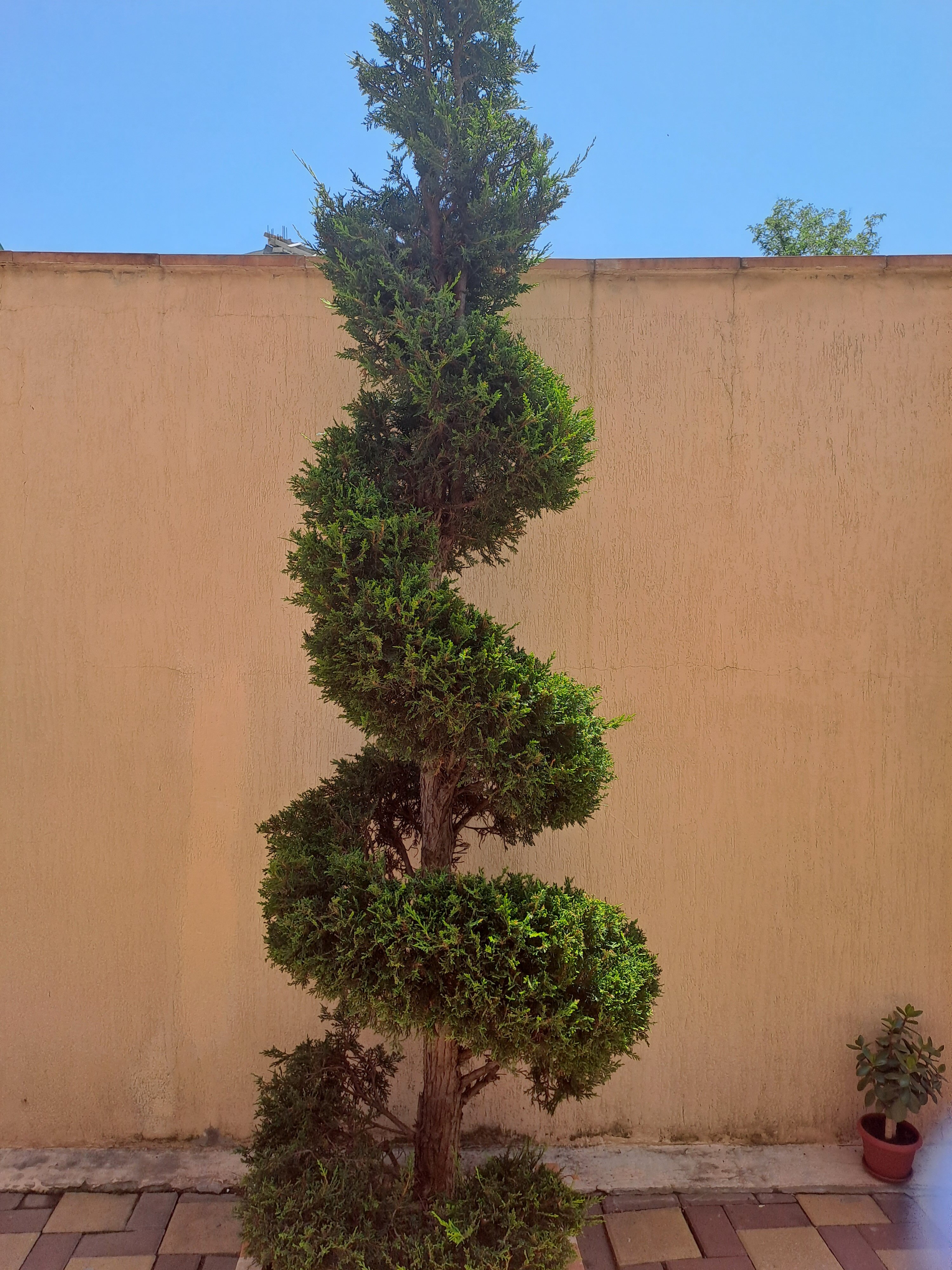 Фото Невский