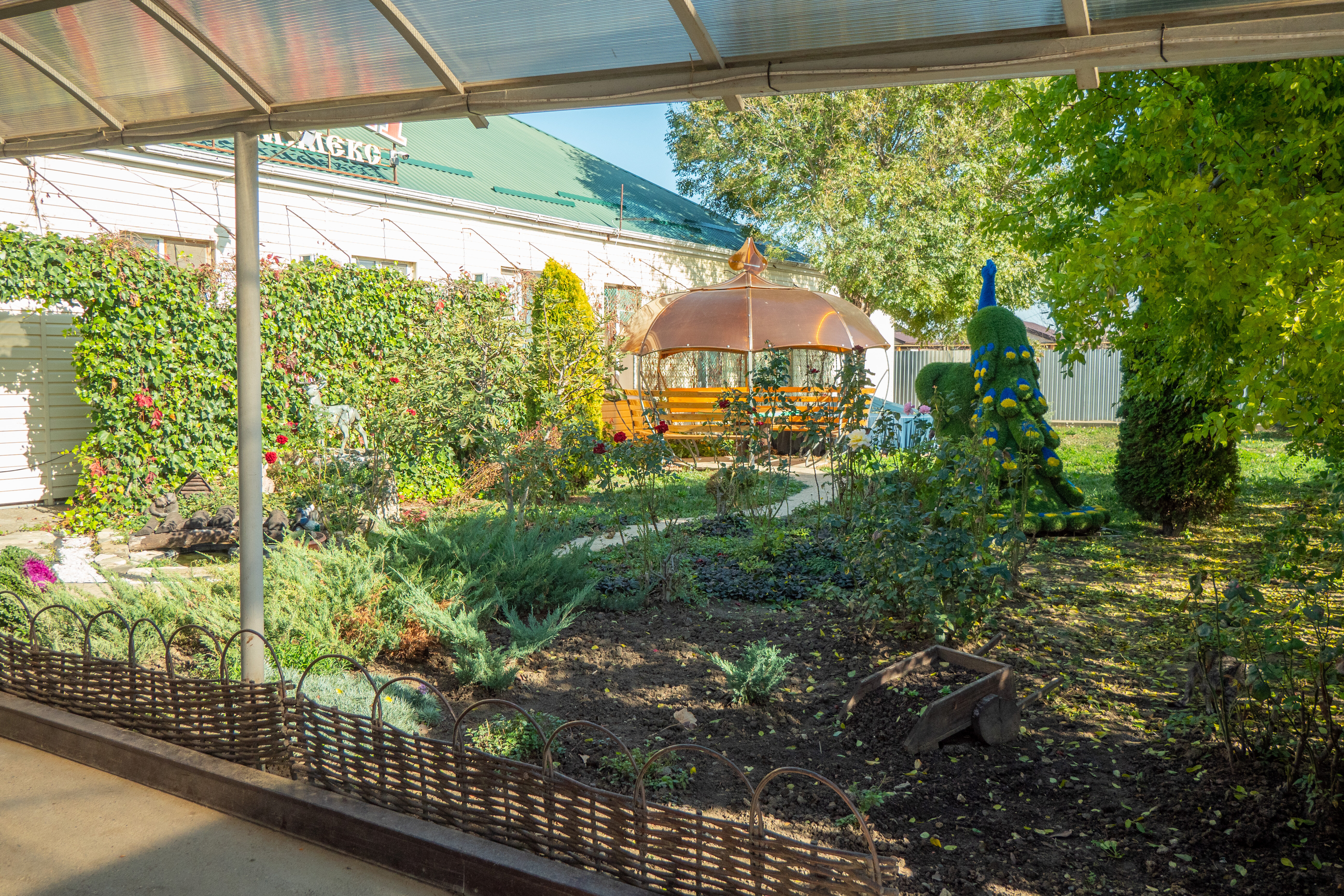 Фото Курени