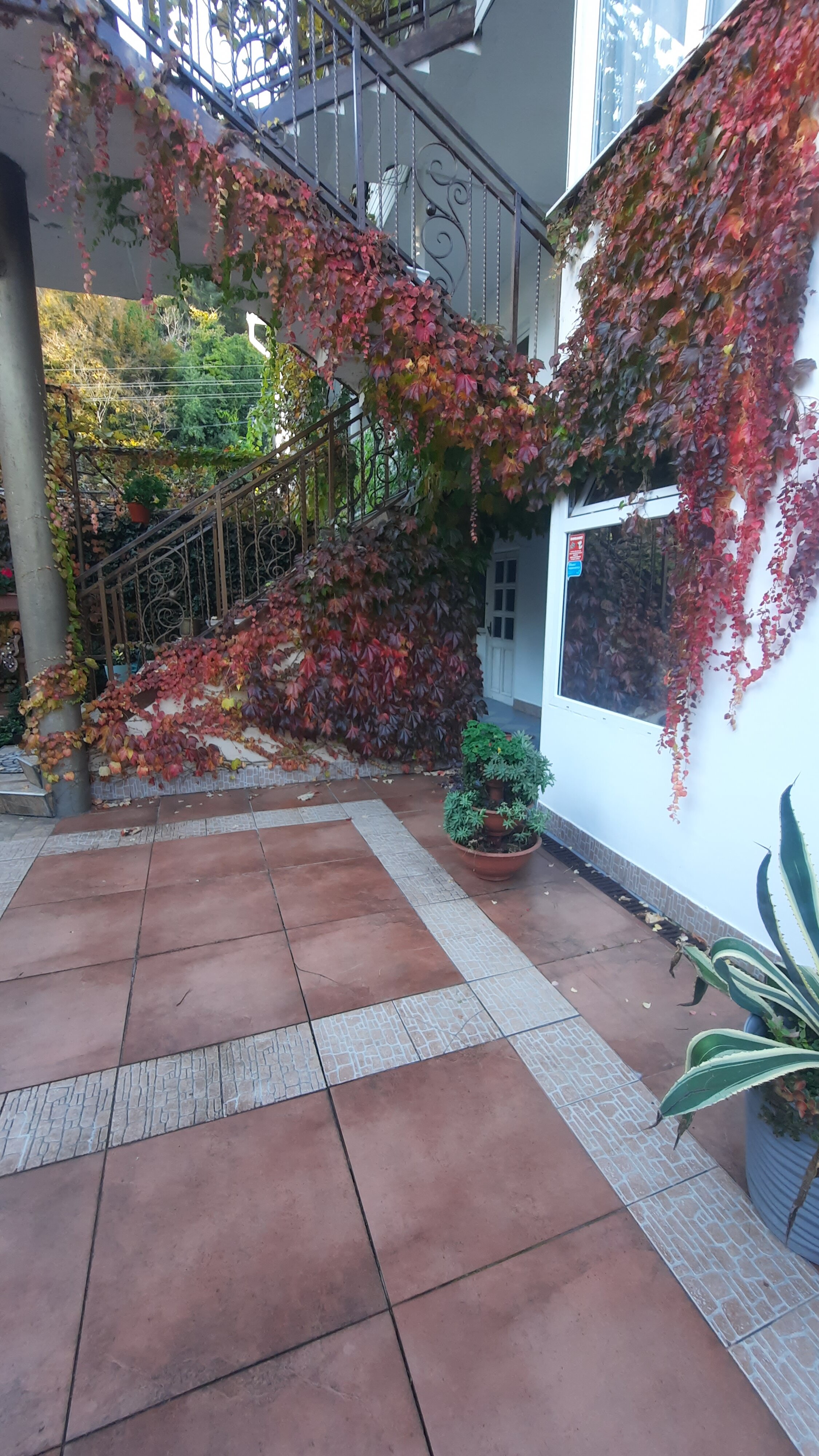 Фото Солоники