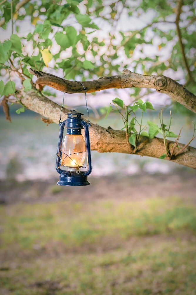 Фото Leopard Safaris Yala