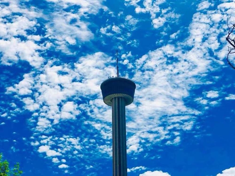 Фото The View - Walking Distance Tower America Downtown