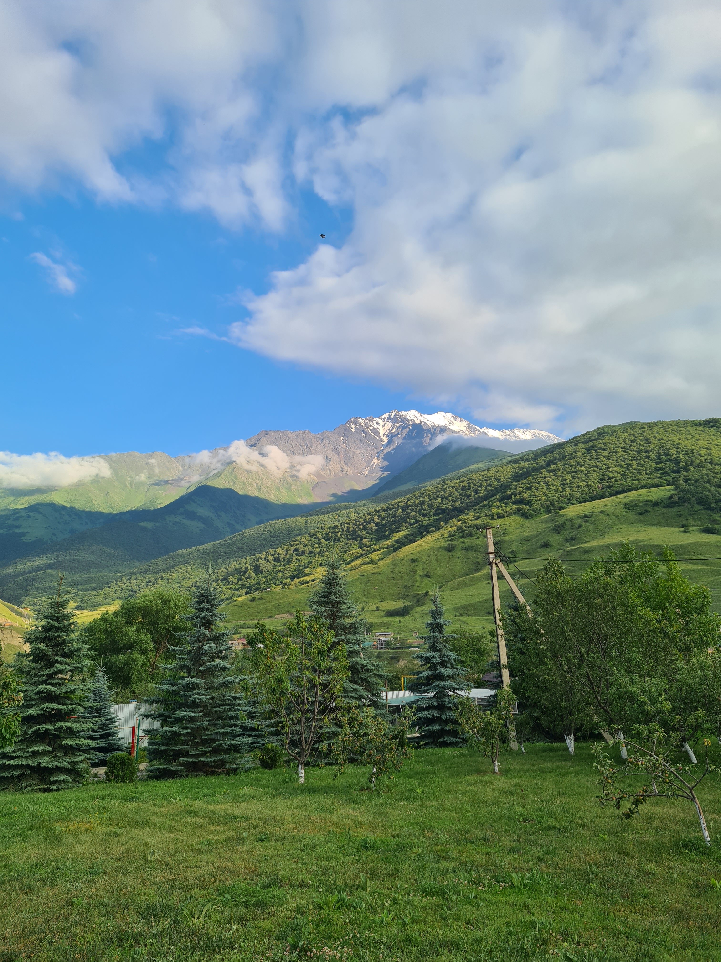 Фото Горный родник
