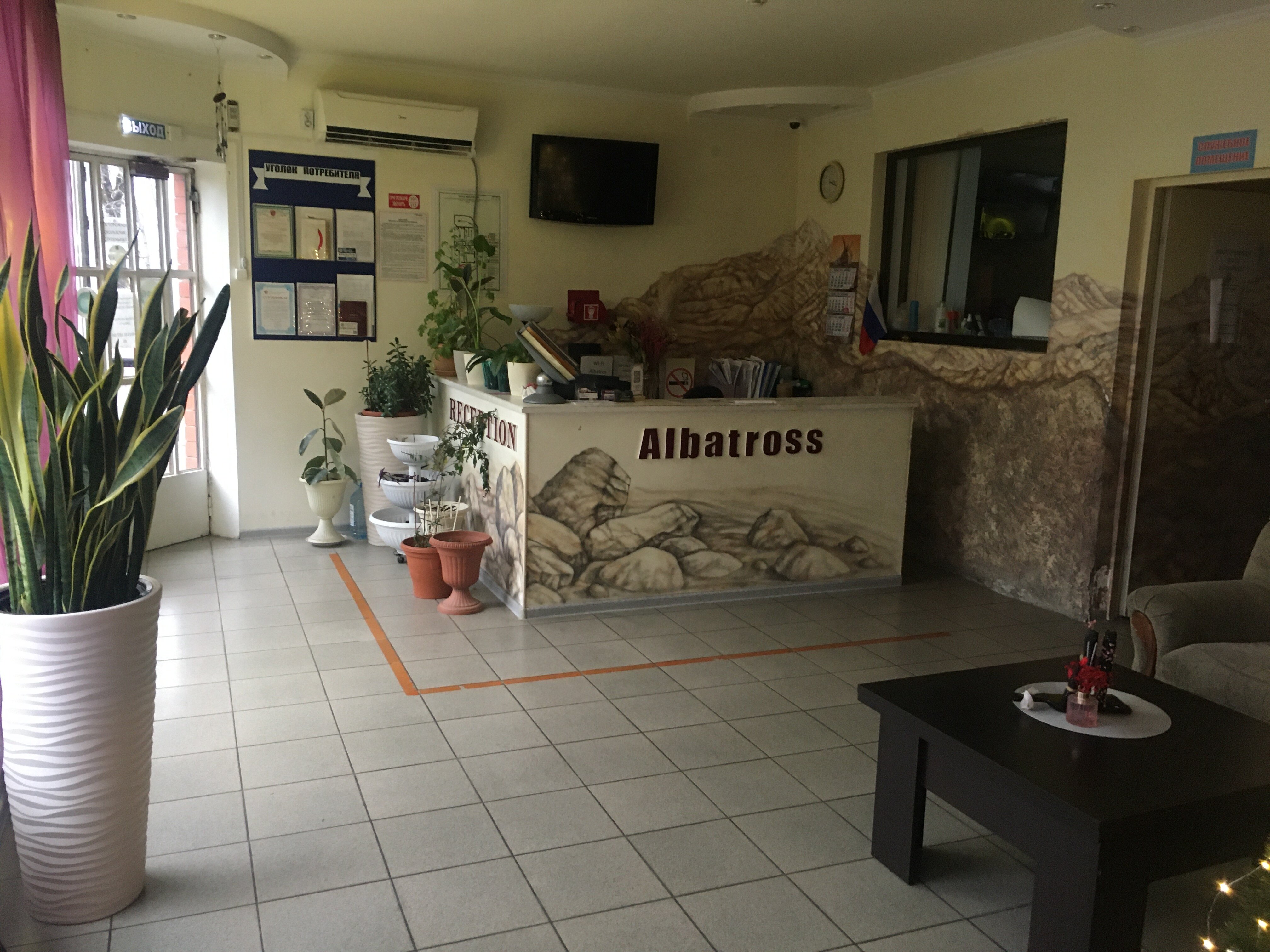 Фото Альбатрос