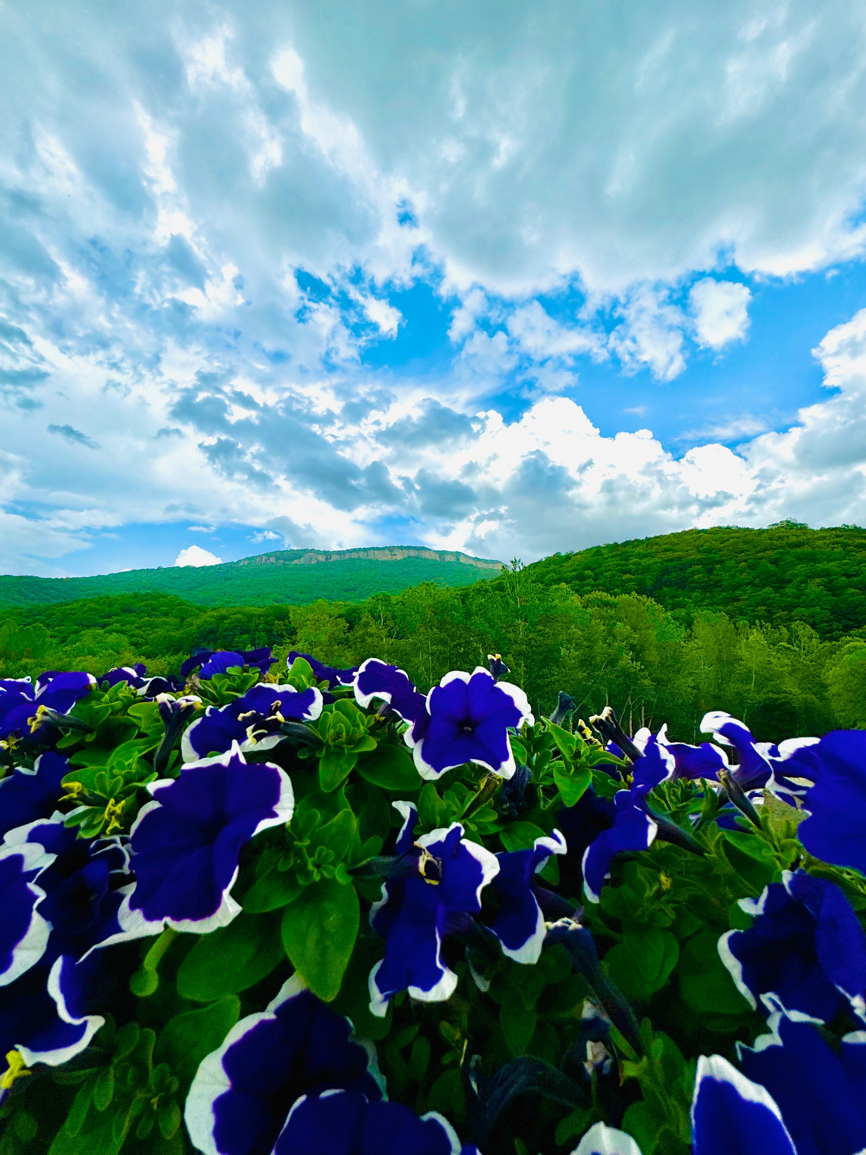 Фото Два брата