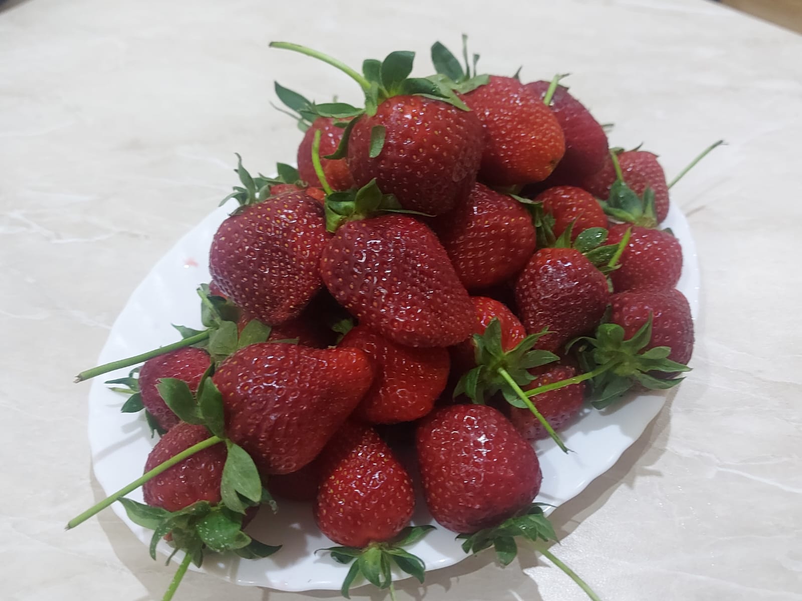 Фото Афалина