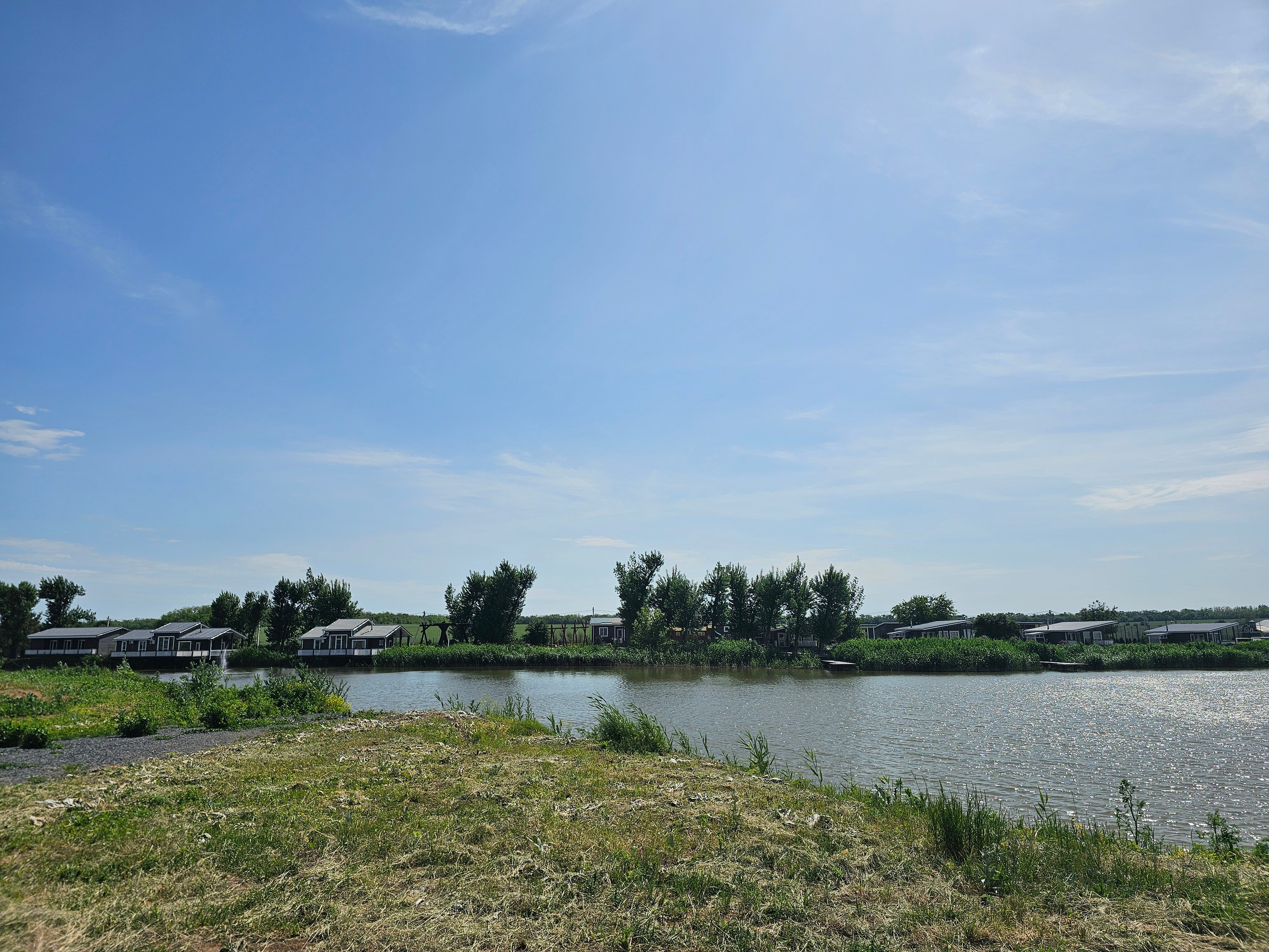 Фото Феникс