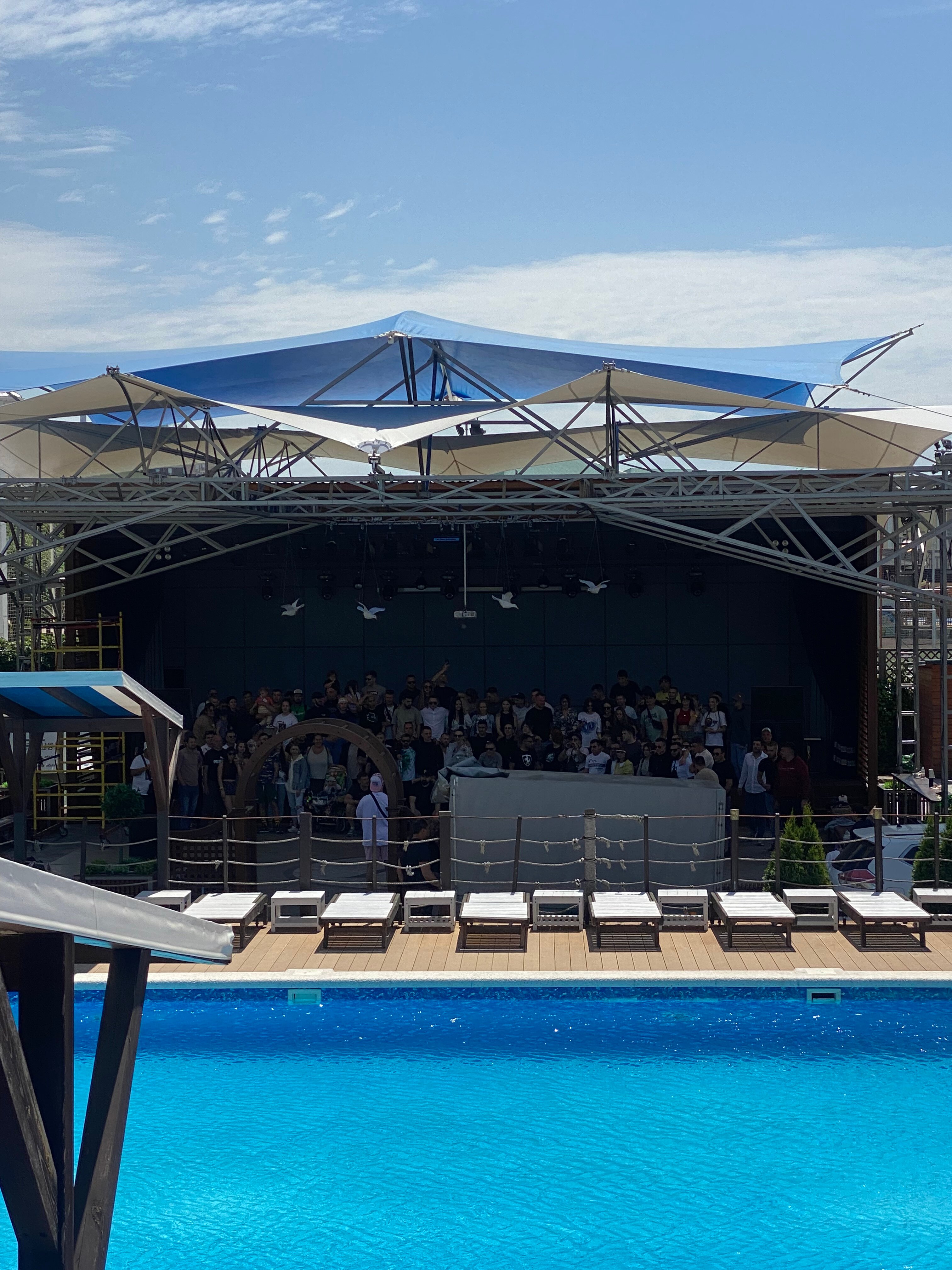 Фото Афалина