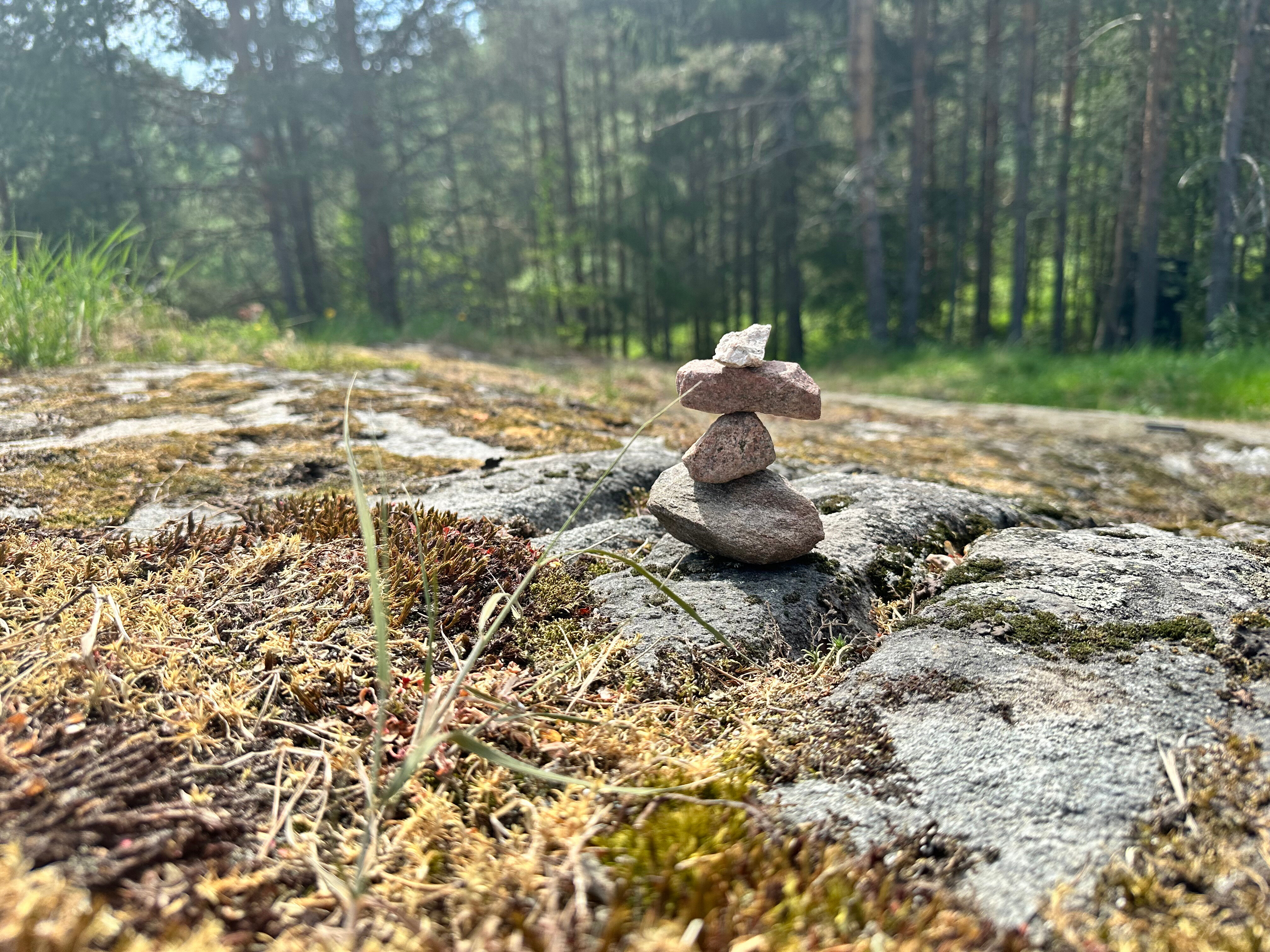 Фото Черная жемчужина