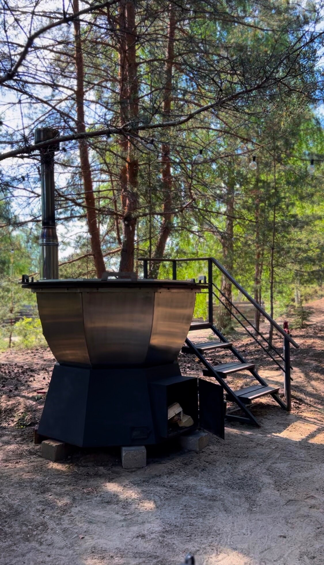 Фото Место под соснами