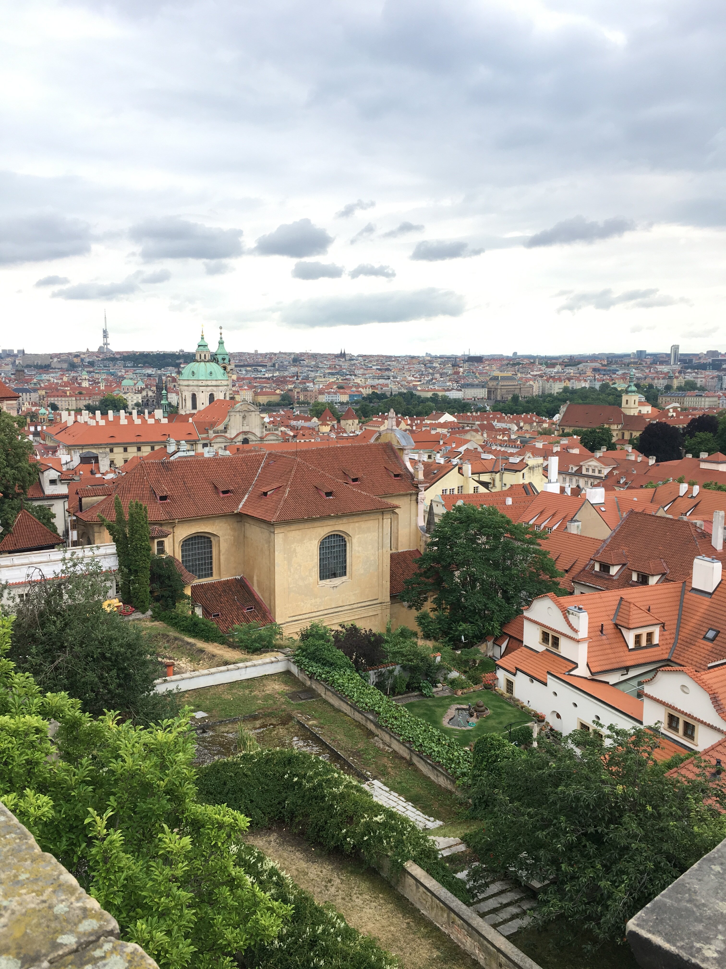 Фото Archibald City