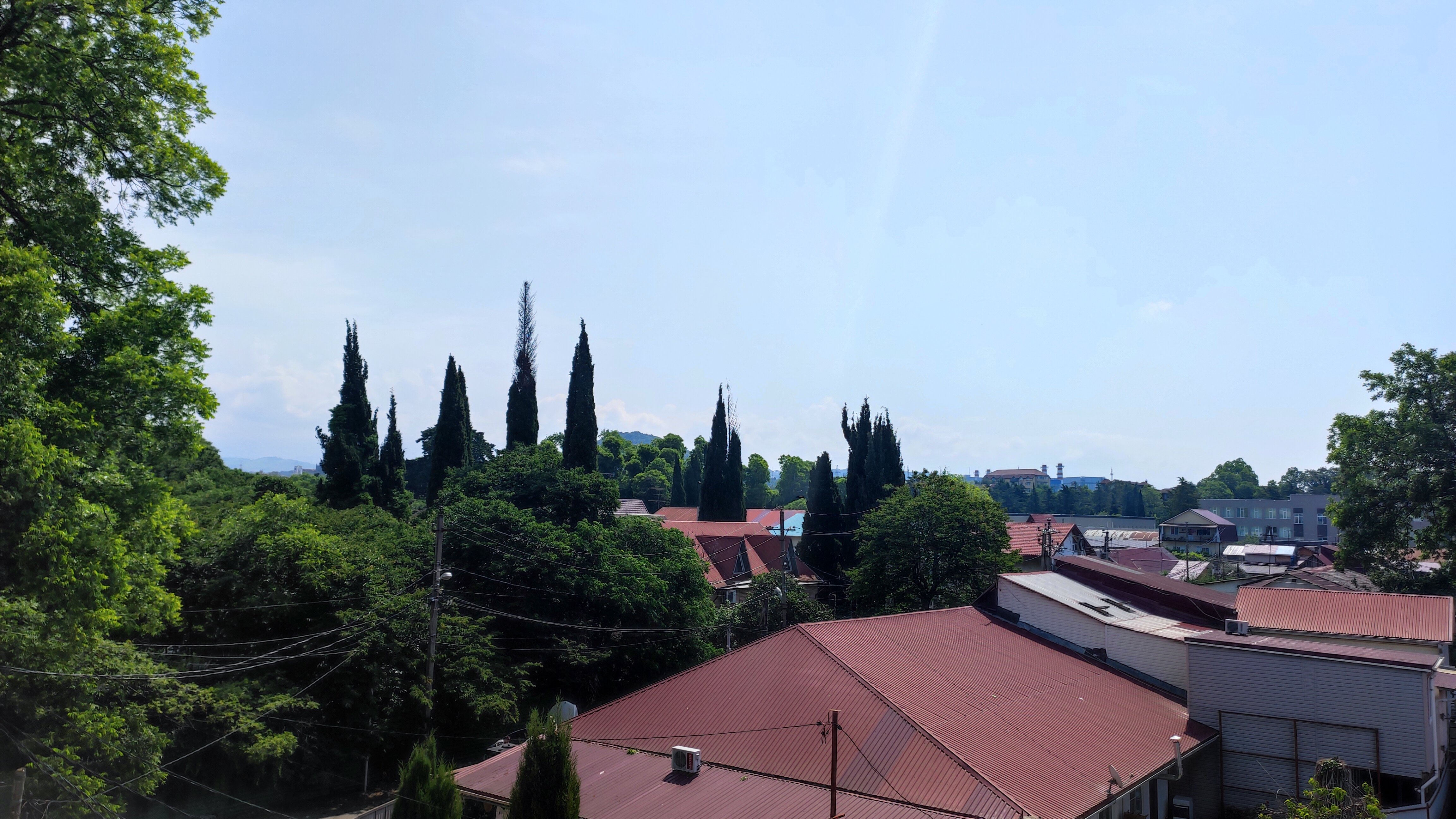 Фото Гиацинт