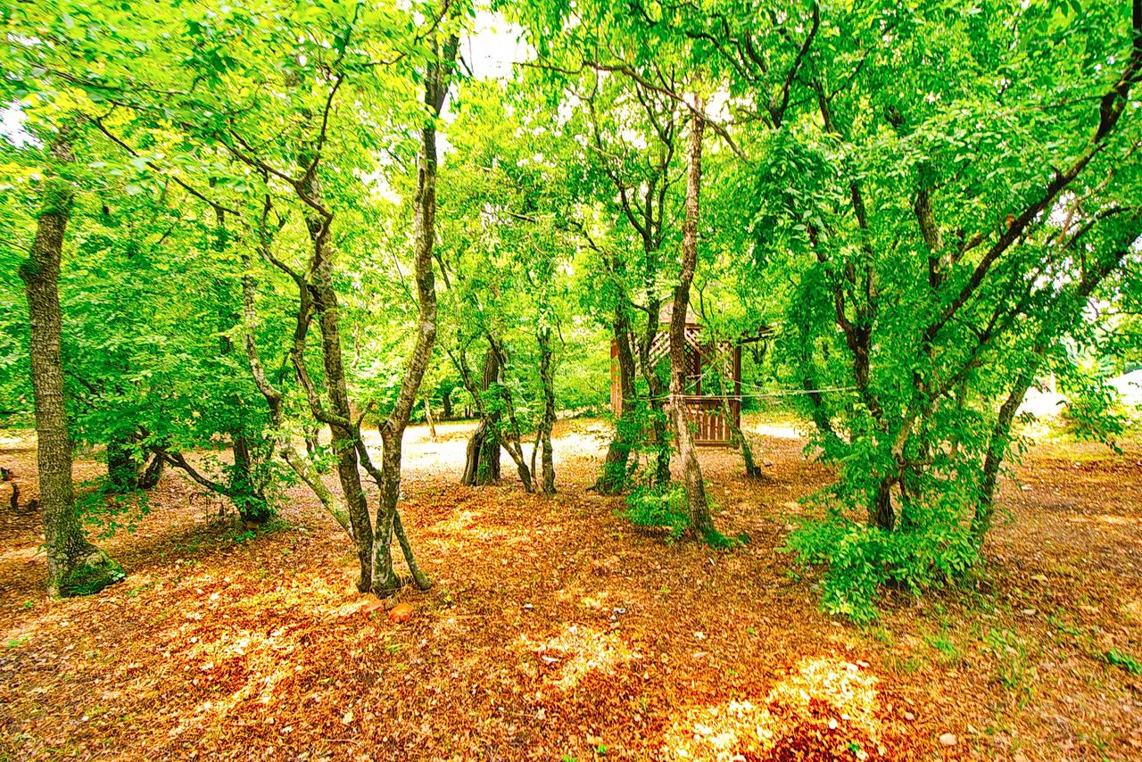 Фото Можжевеловая Роща