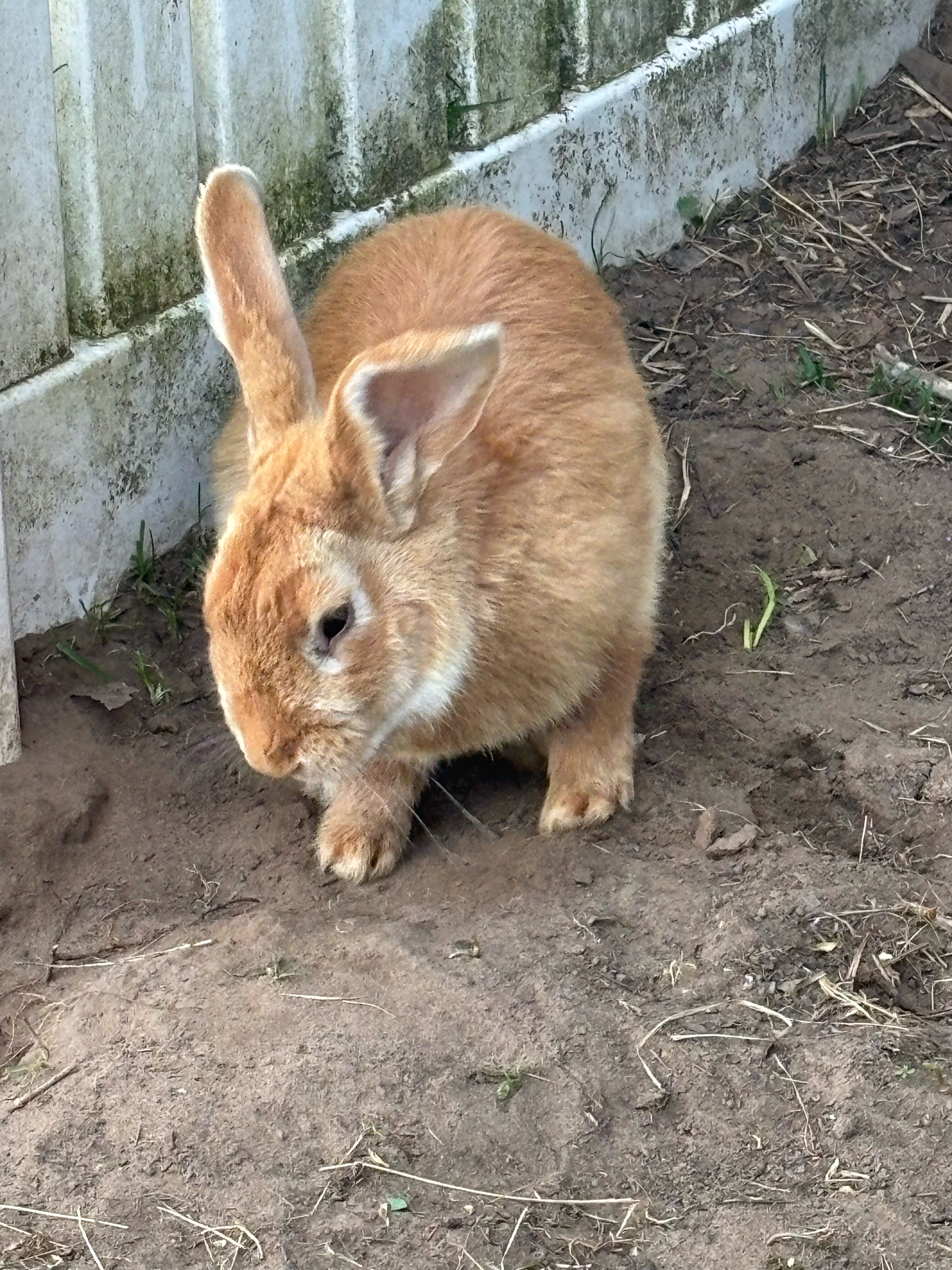 Фото Зеленьково