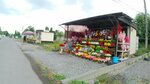 Искусственные цветы (Republic of Severnaya Ossetia-Alania, Vladikavkaz, Zapadny proyezd), artificial plants and flowers