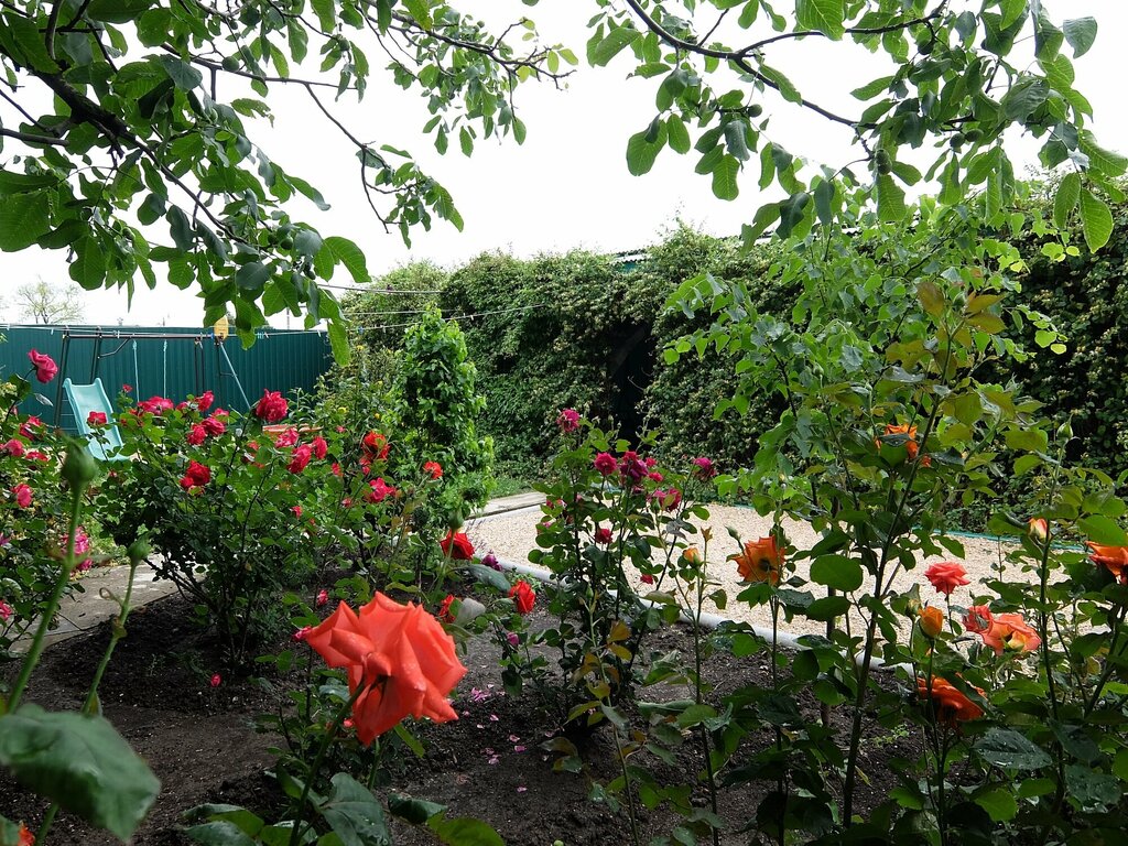 Guest house Летняя прохлада, Krasnodar Krai, photo