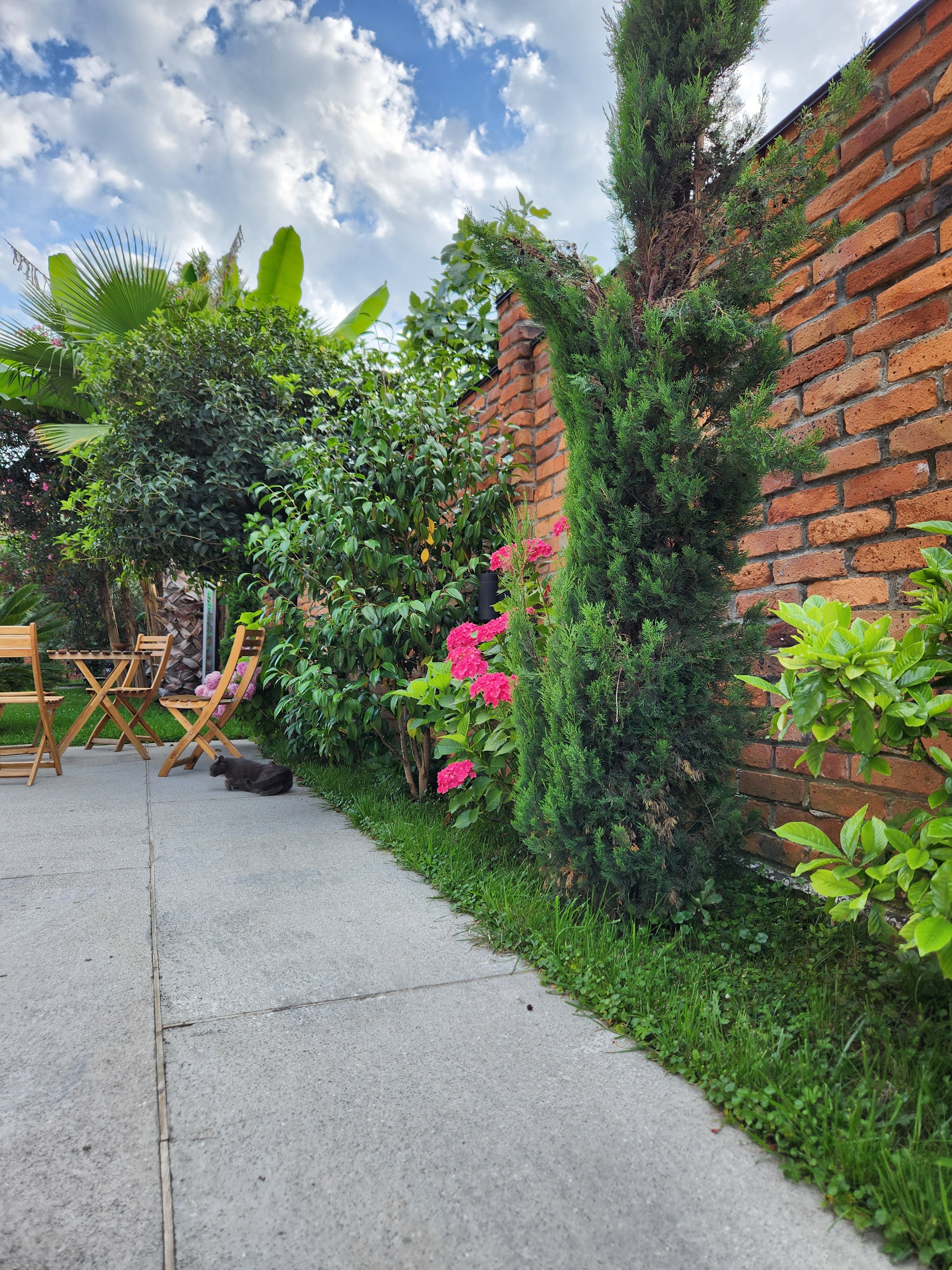 Фото Лофт Гарден