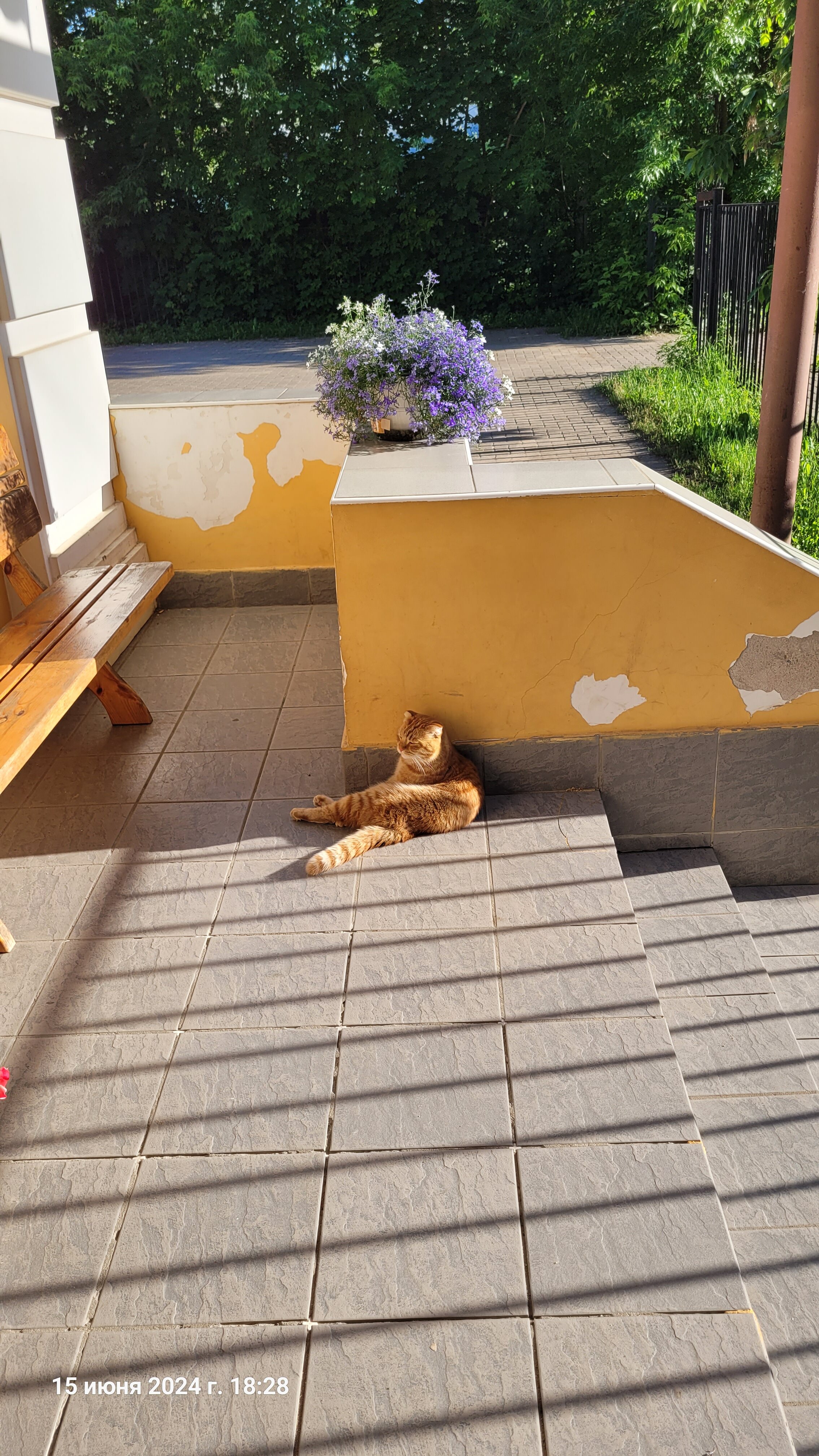 Фото На Казанской