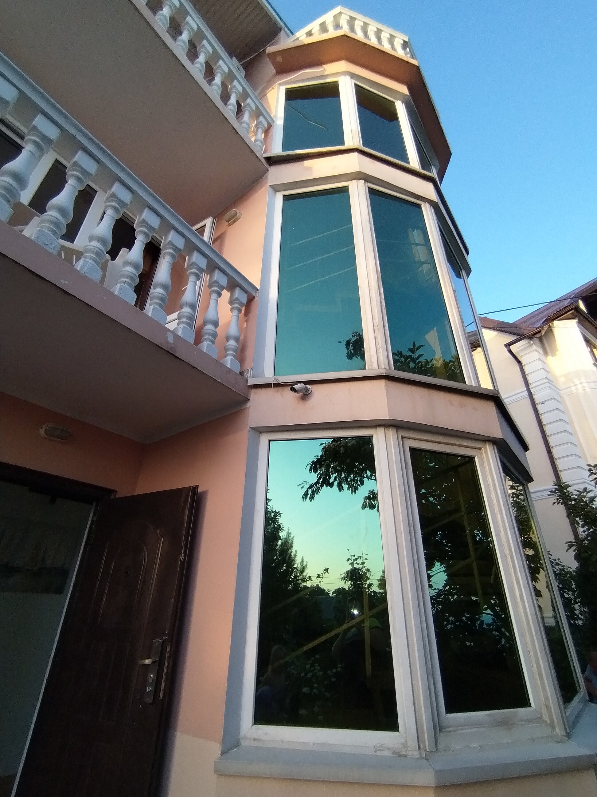 Фото Дельфин