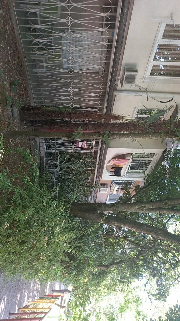 Passport and migration authorities Городской информационный вычислительный центр, Sochi, photo