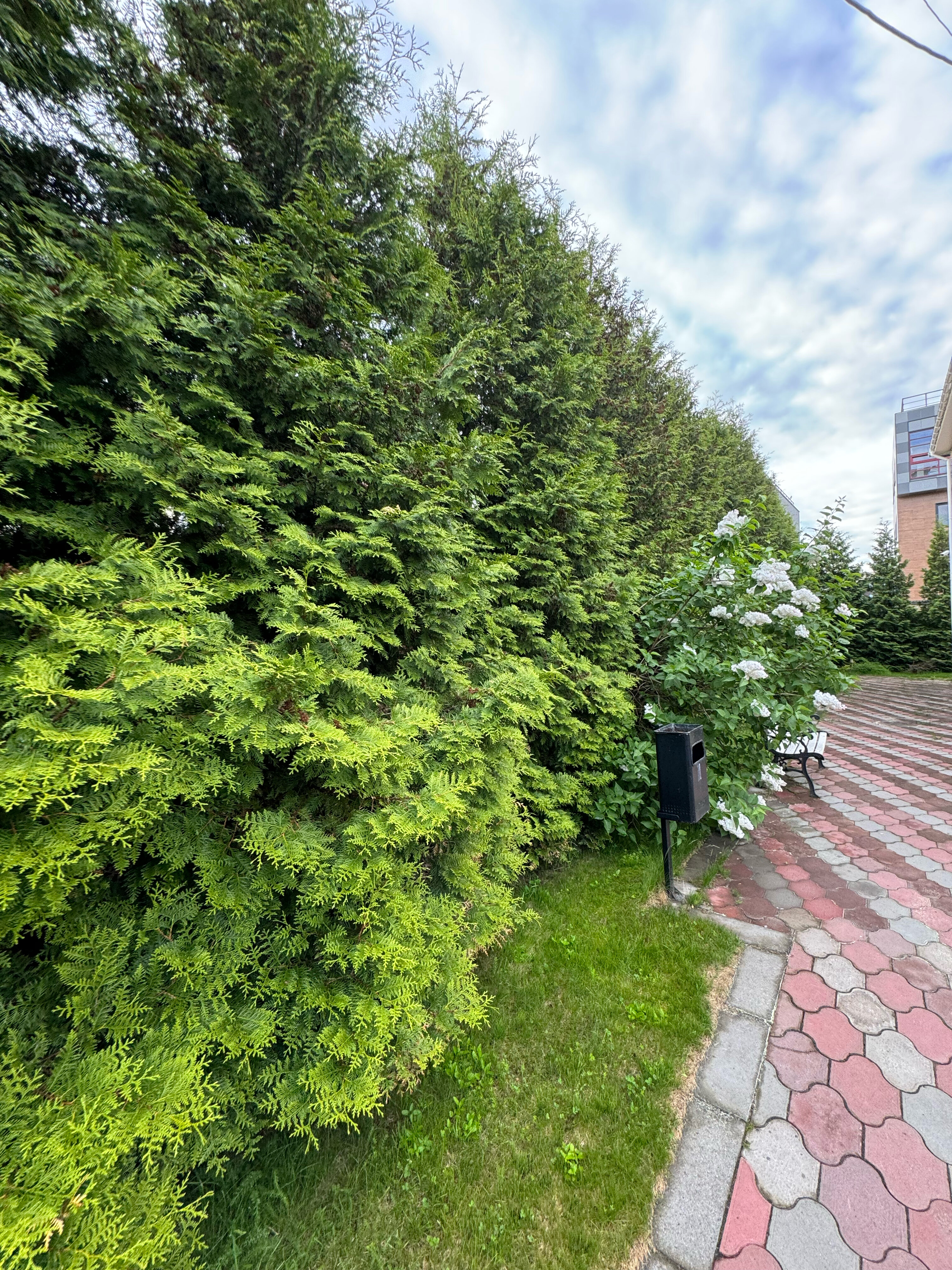 Фото 13 Стульев