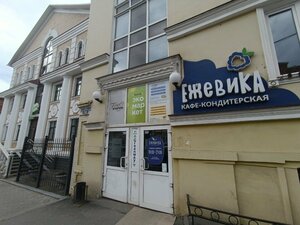 Ежевика (Ekaterininskaya Street, 76), cafe