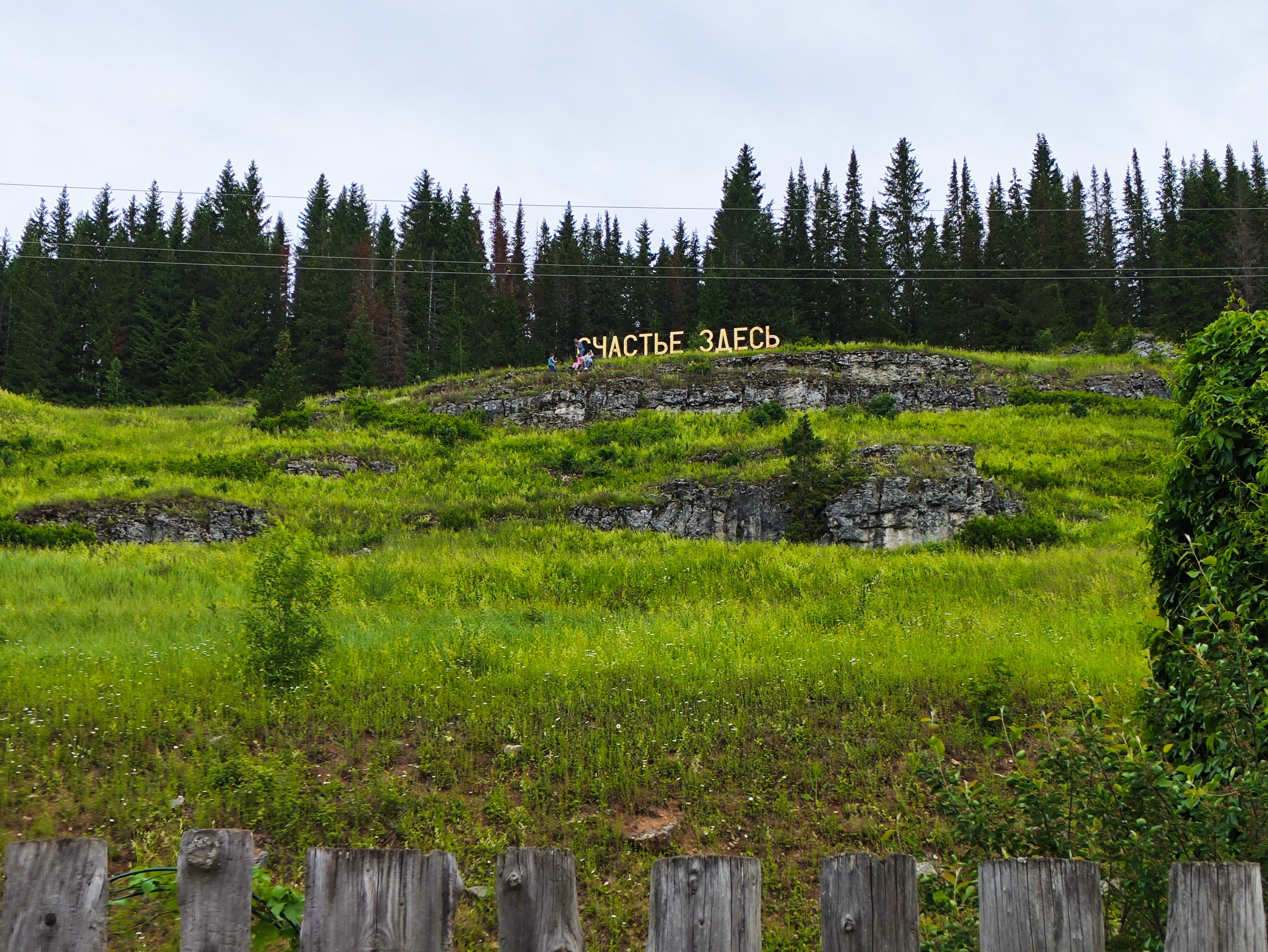 Фото Территория