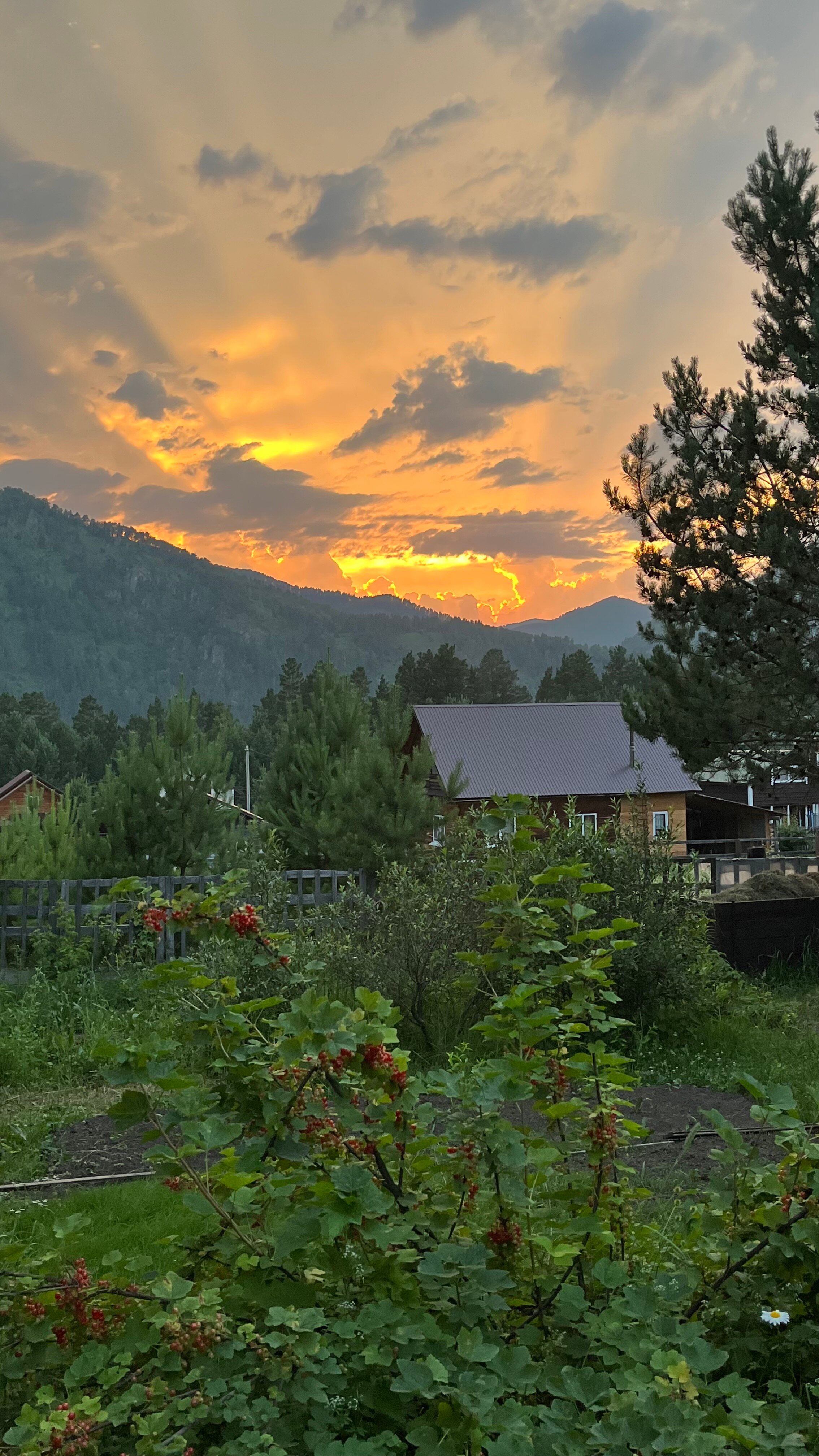 Фото Горы&Сосны