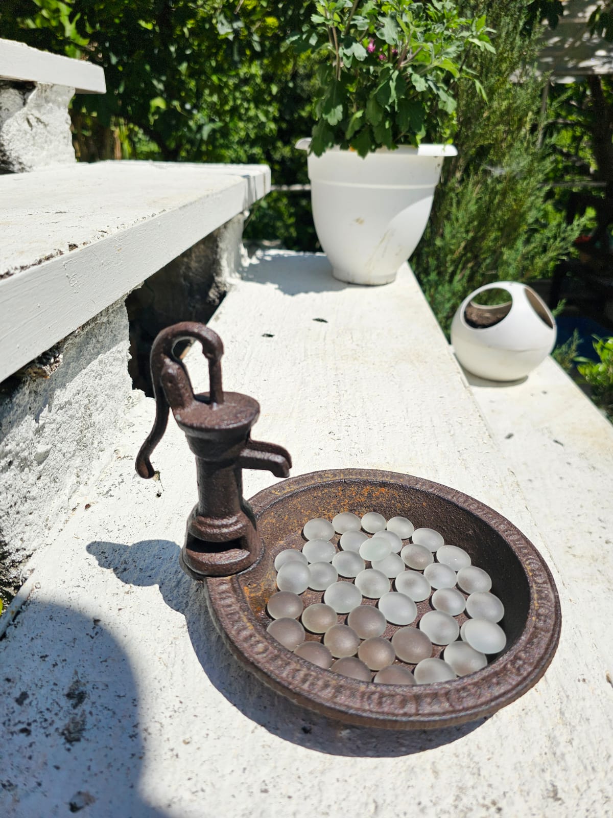 Фото Заповедник