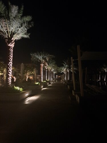 Внешний вид отеля Park Hyatt Abu Dhabi Hotel and Villas в Абу-Даби, фото 5