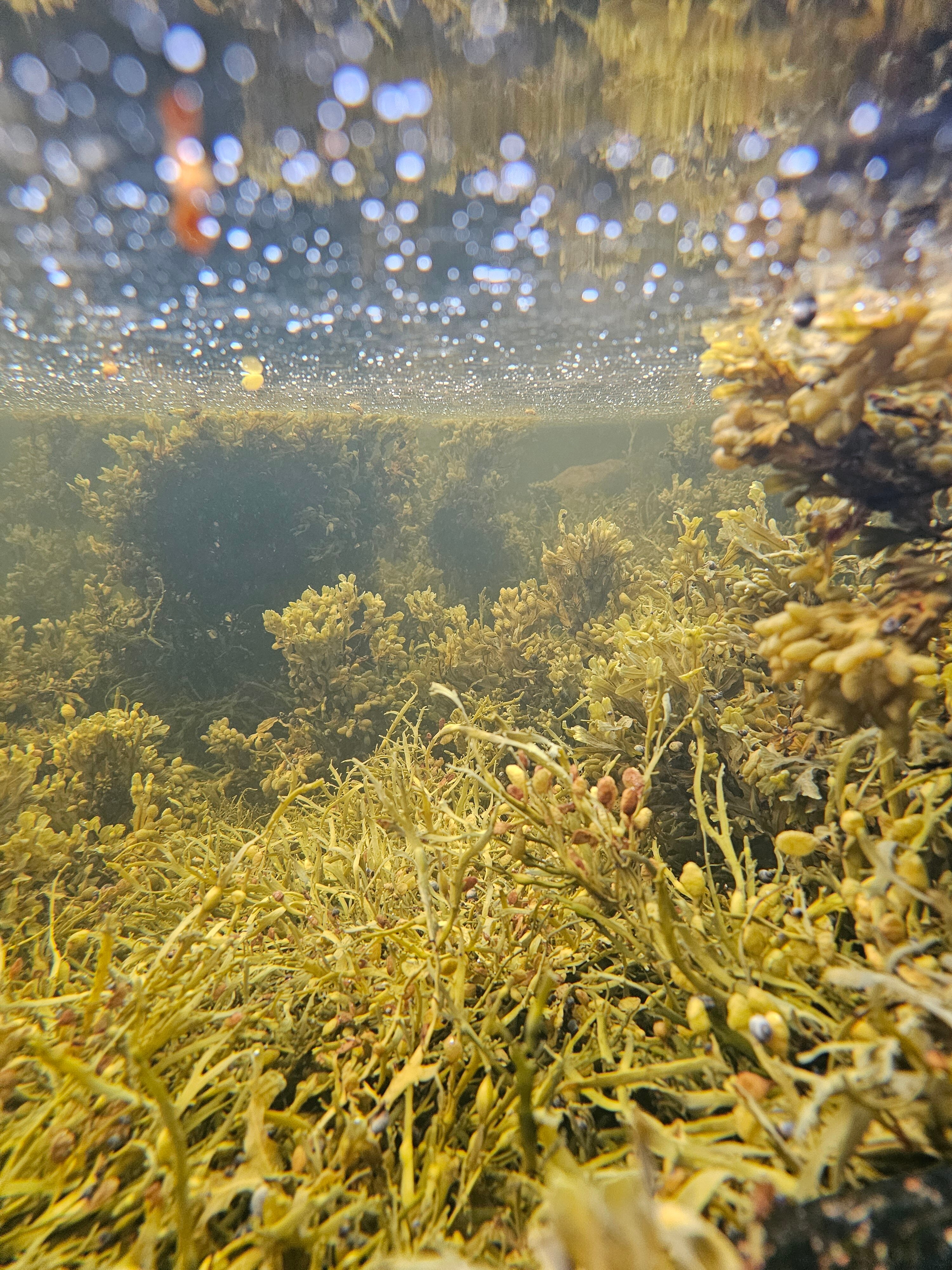 Фото Точка Притяжения