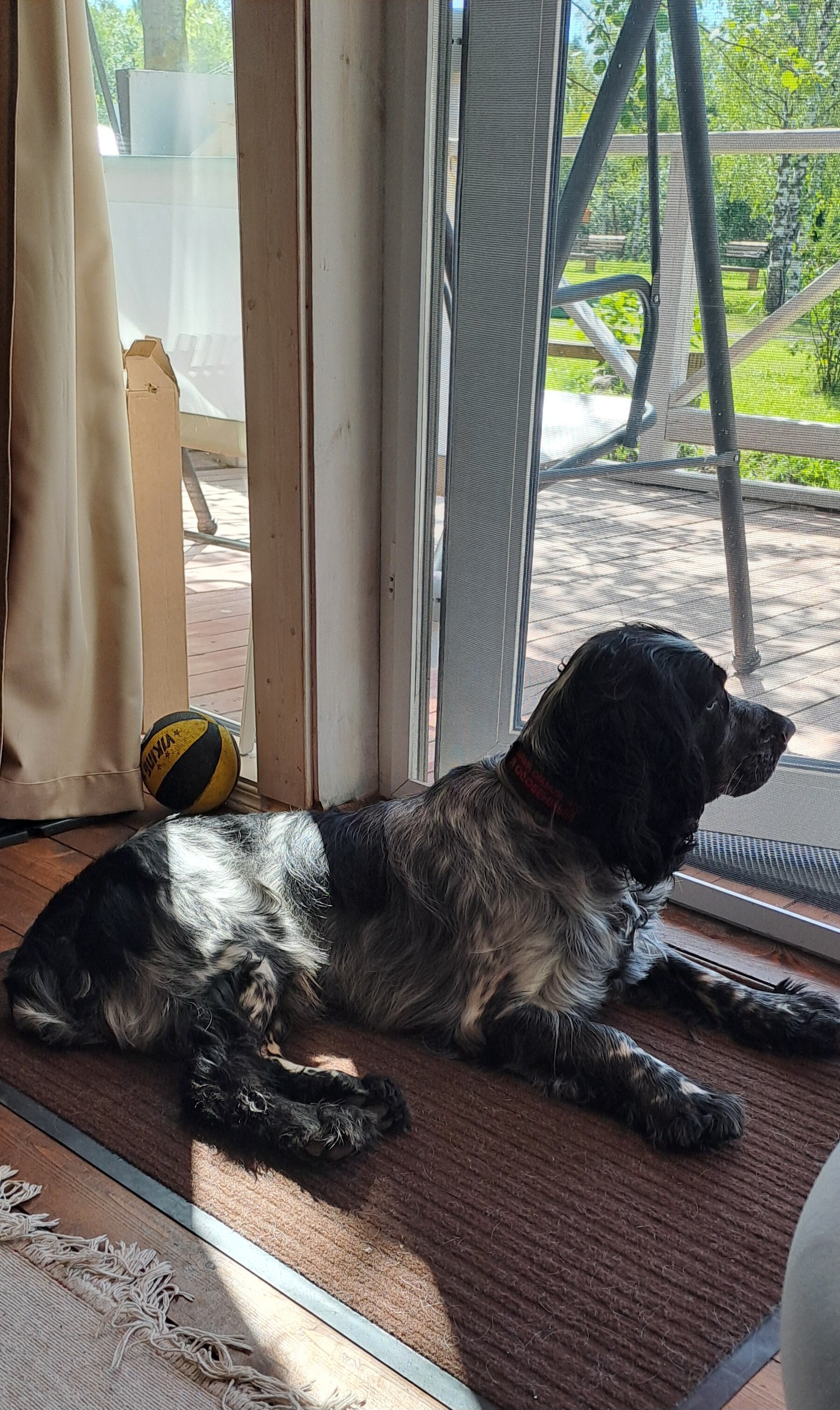 Фото Моисеевичи Life