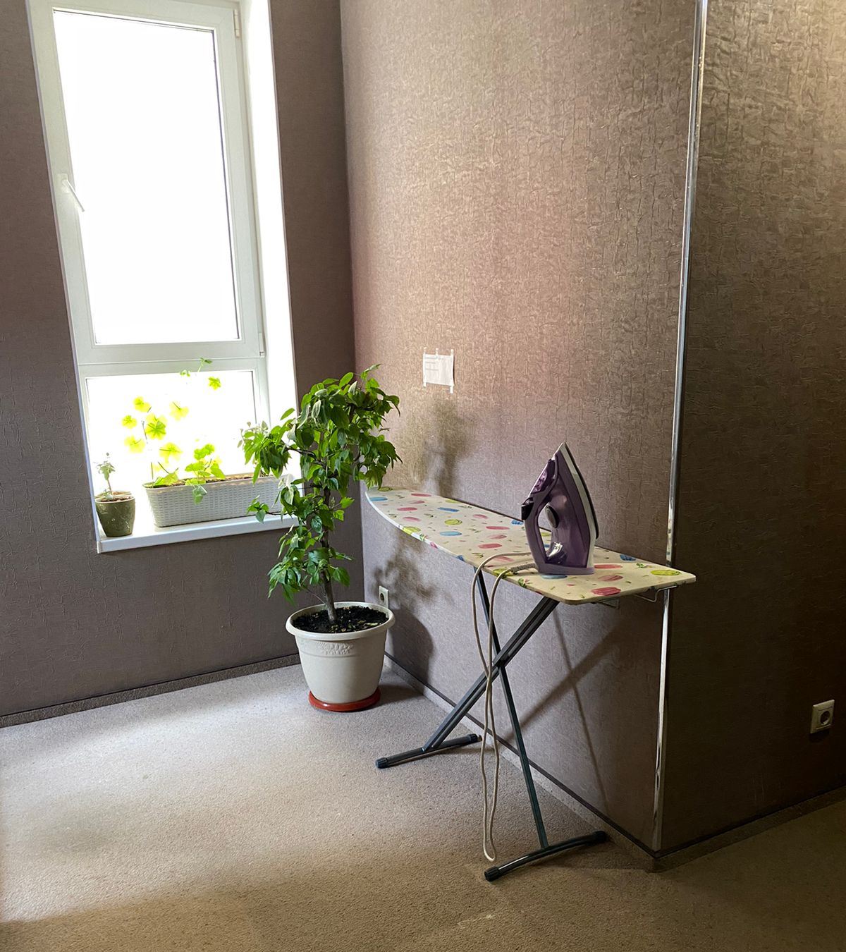 Фото Милотел