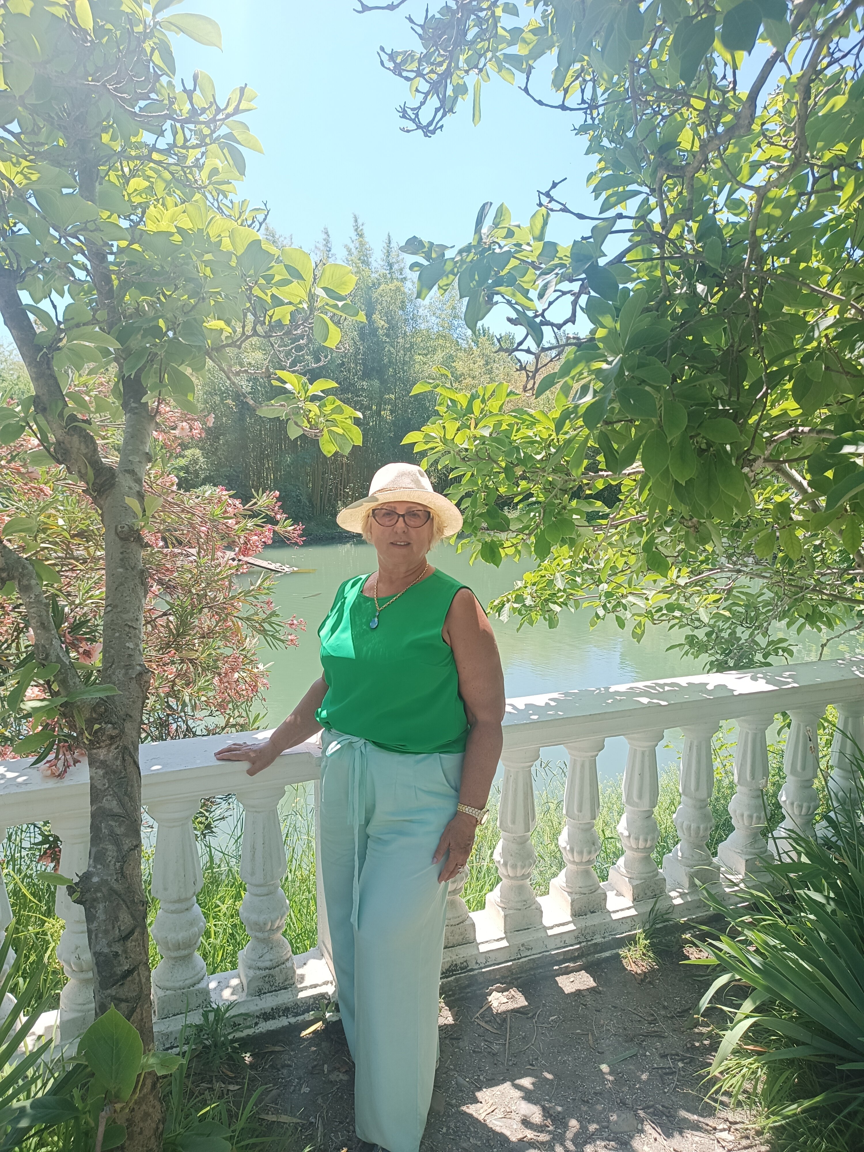 Фото Страна магнолий