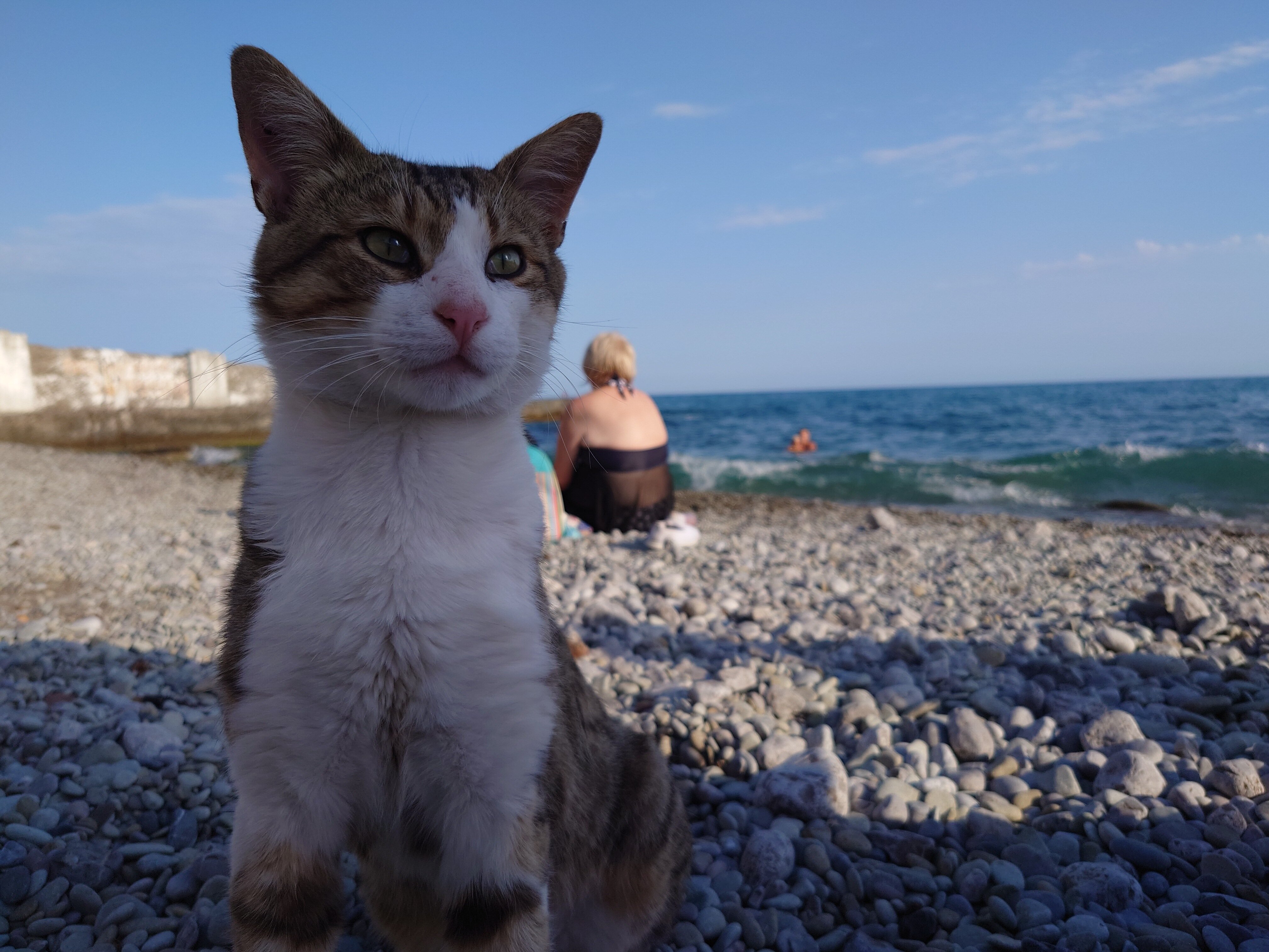 Фото Вилла и Море