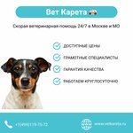 ВетКарета (Mitinskaya Street, 44), veterinary clinic