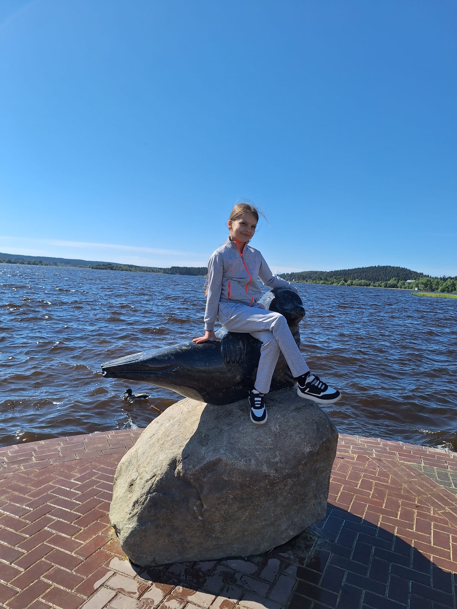 Фото Северный олень