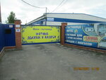 Уютный дворик у Андрея (selo Shipunovo, Rabochiy pereulok, 4Б), hotel