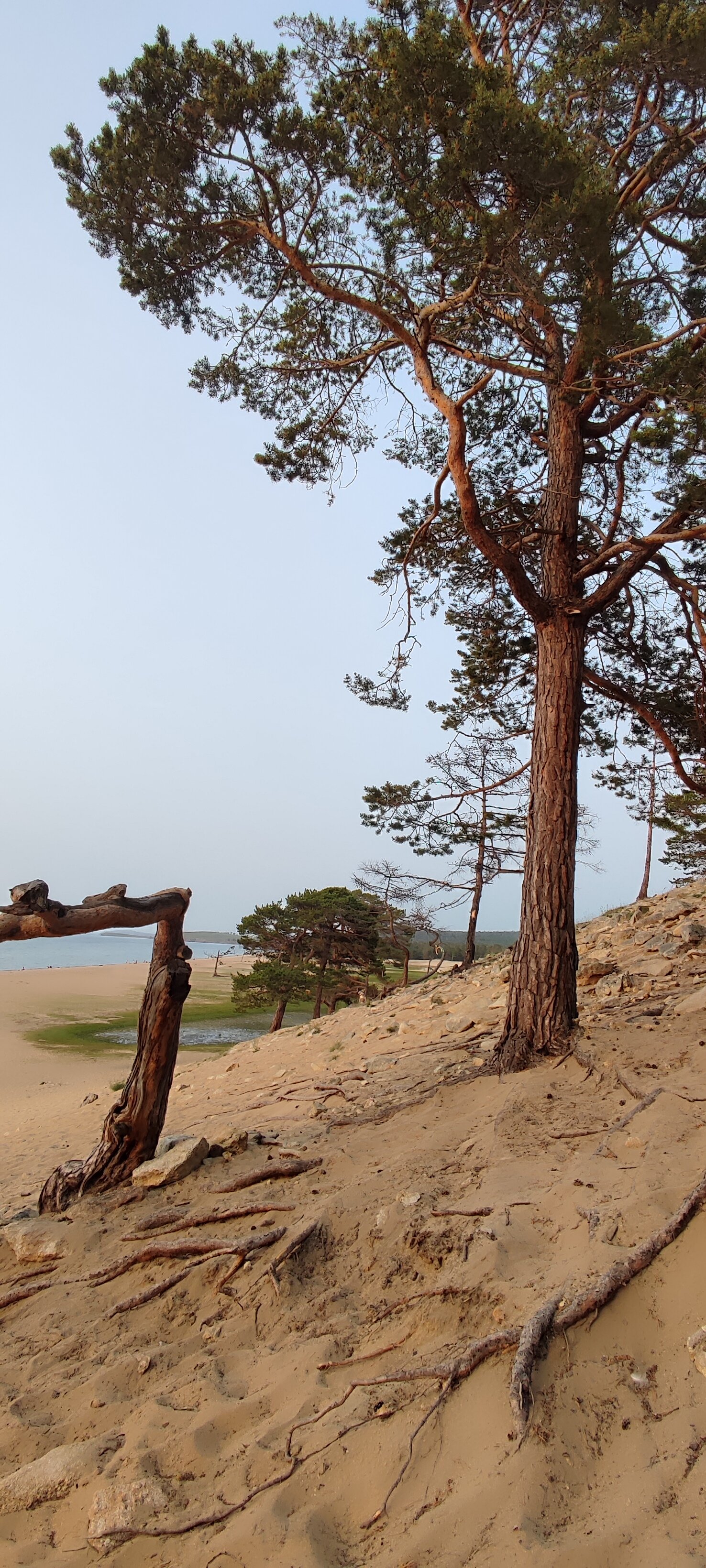 Фото Irbis Hotel