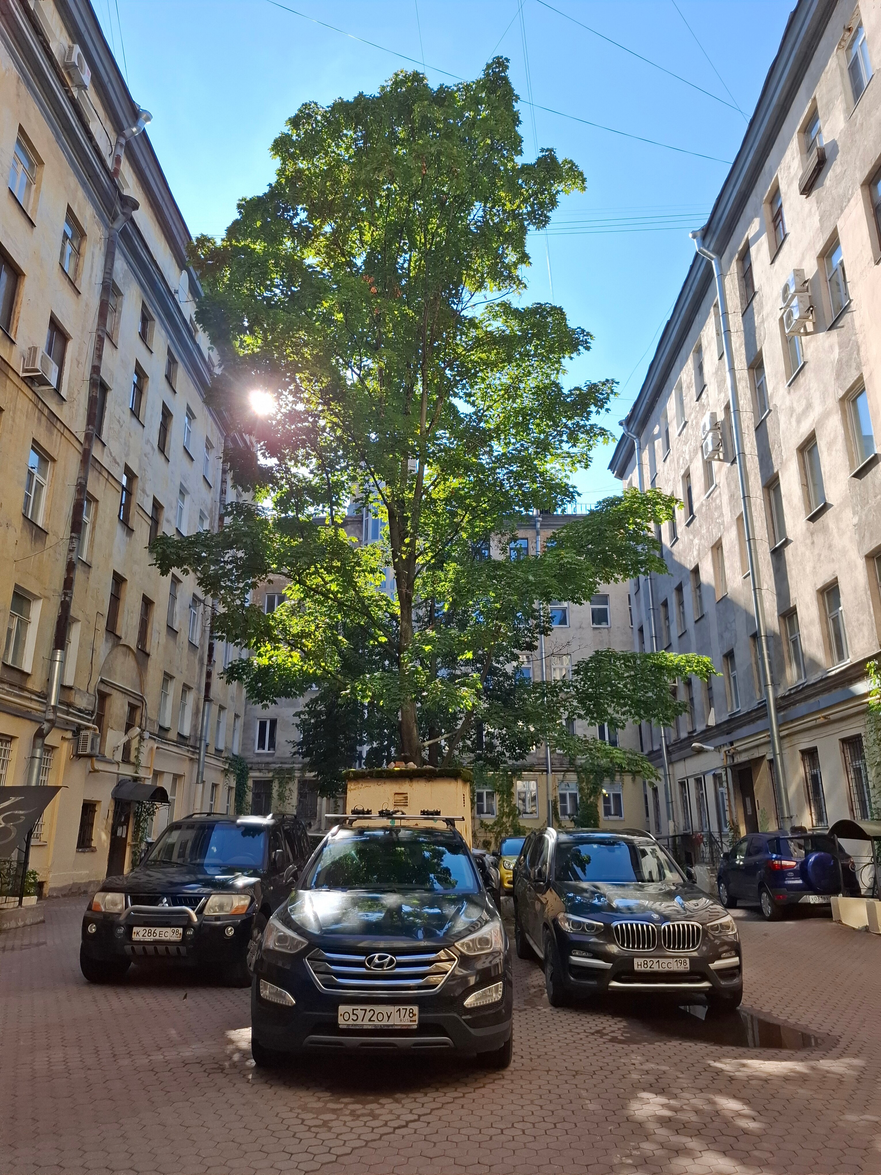 Фото Амиго Syncotel