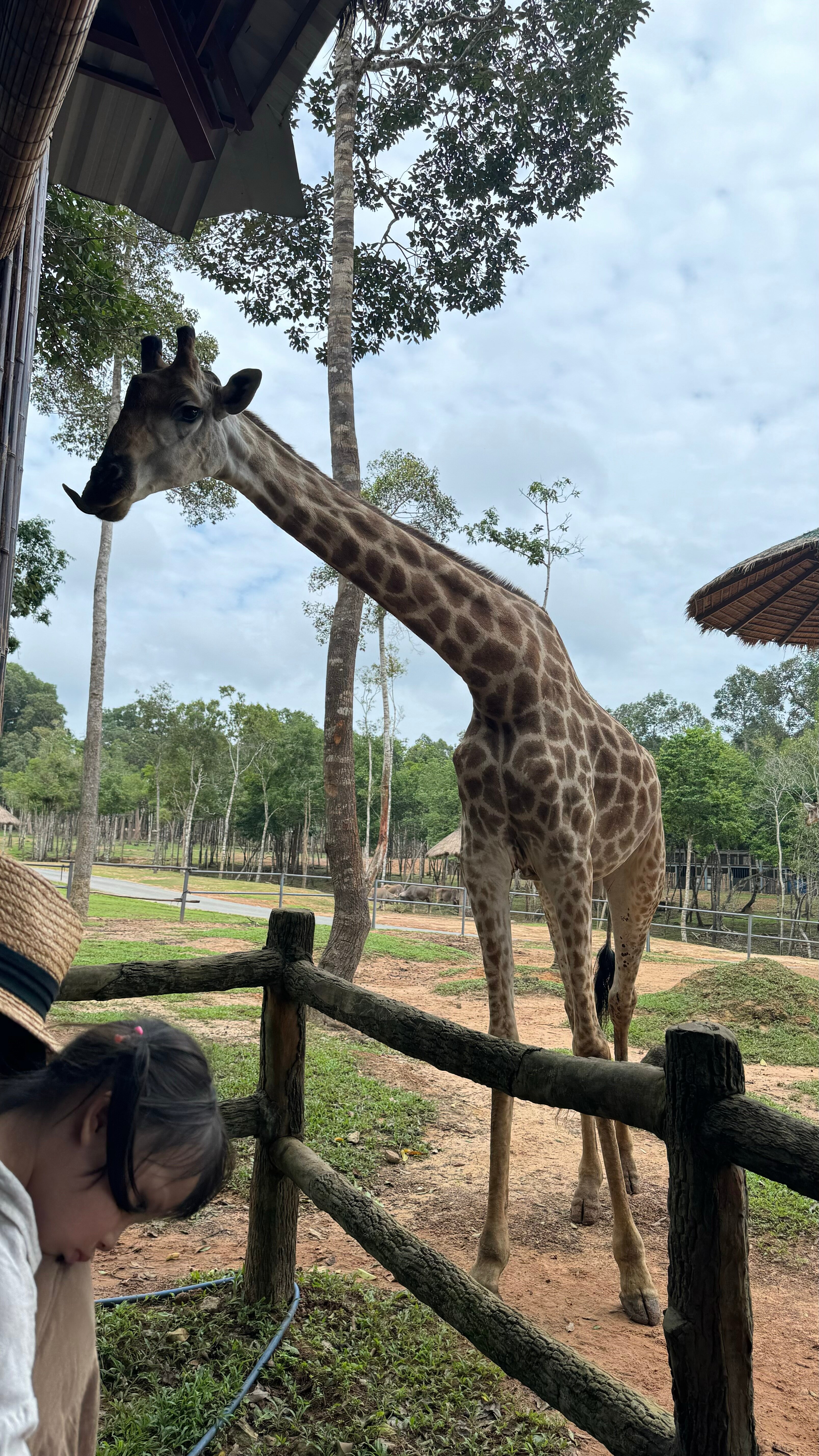 Фото Crowne Plaza Phu Quoc Starbay