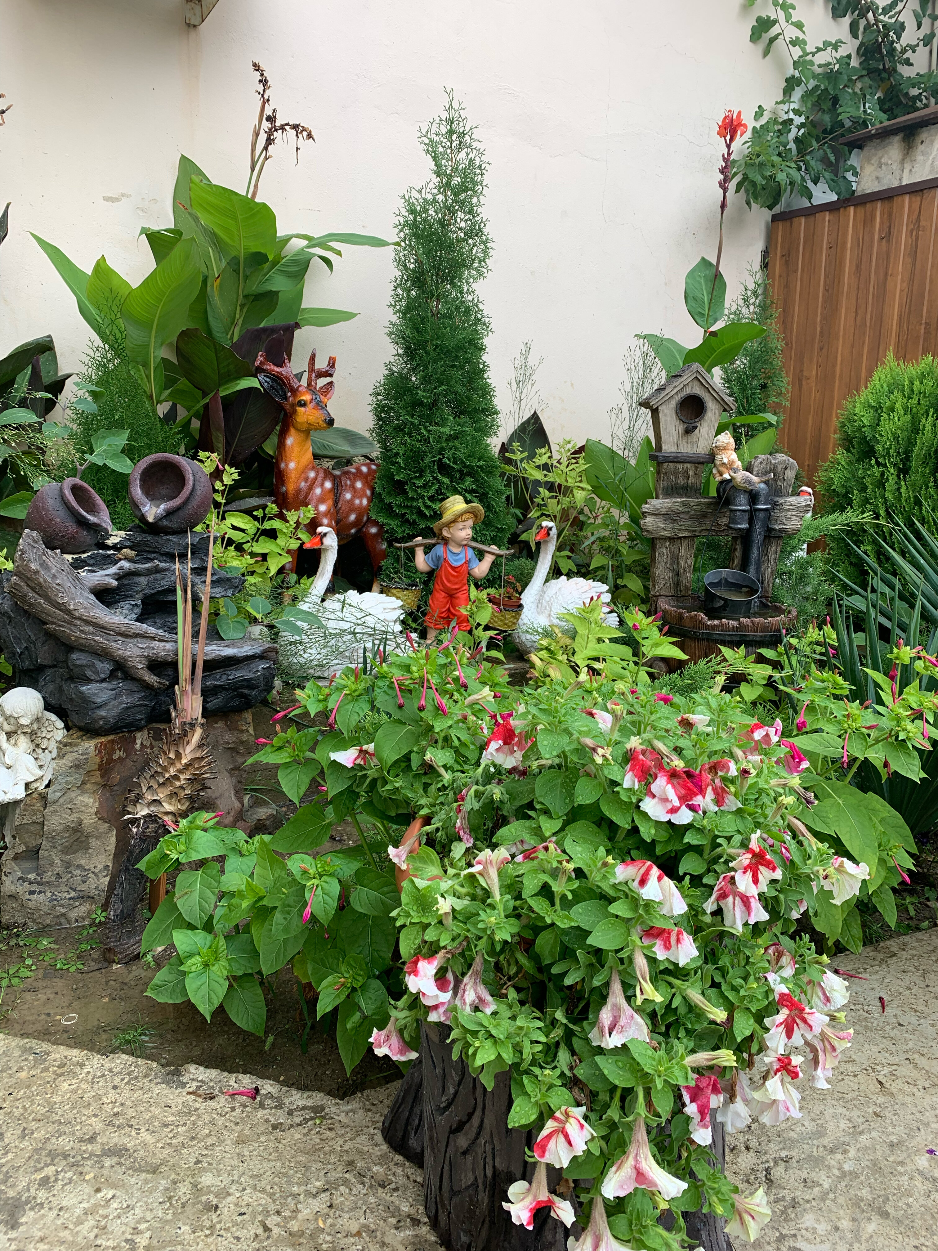 Фото Карамель