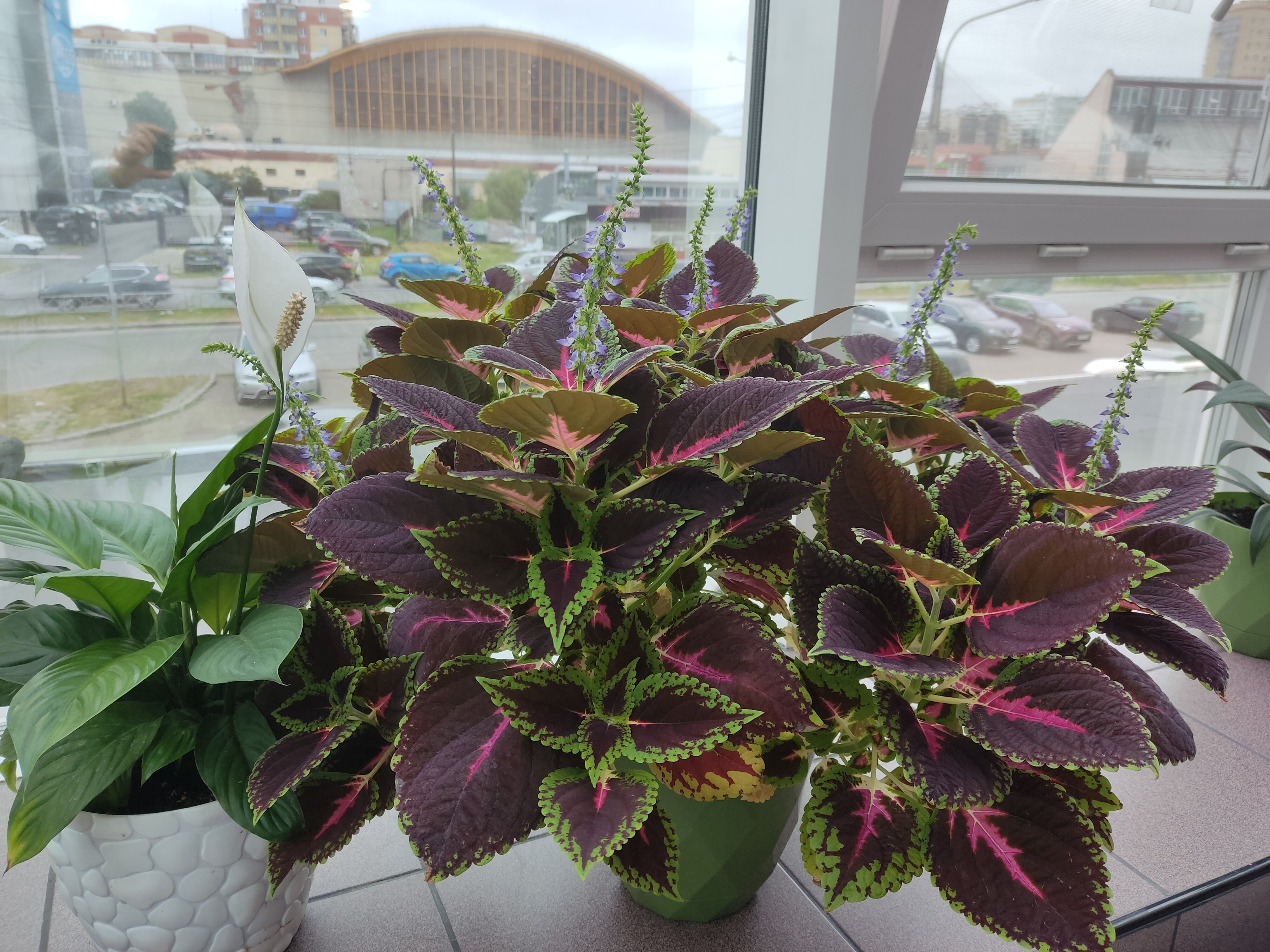 Фото Apart House СМ