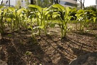 Фото Fully Mini Hotel Insadong