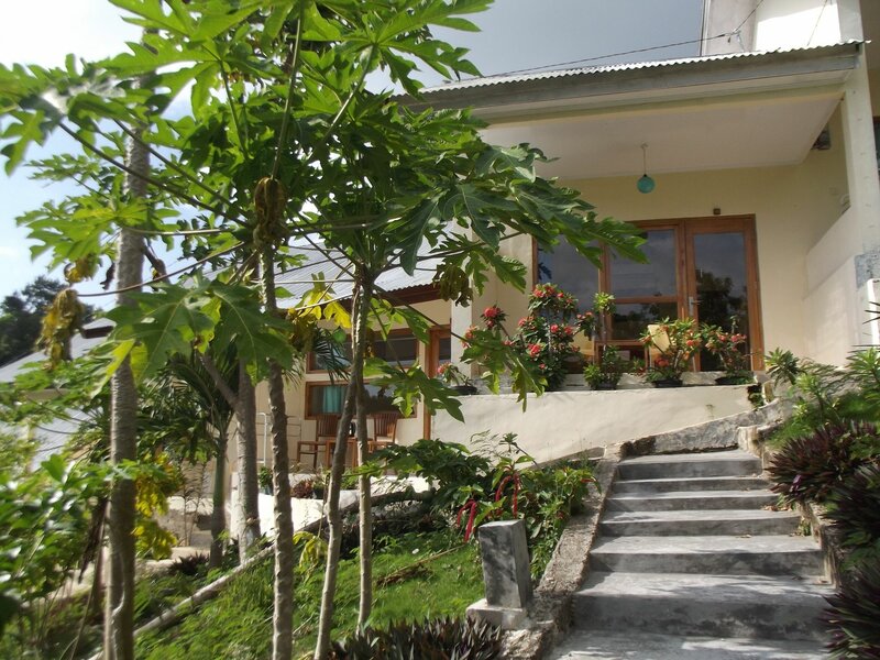 Гостиница CF Komodo Hotel