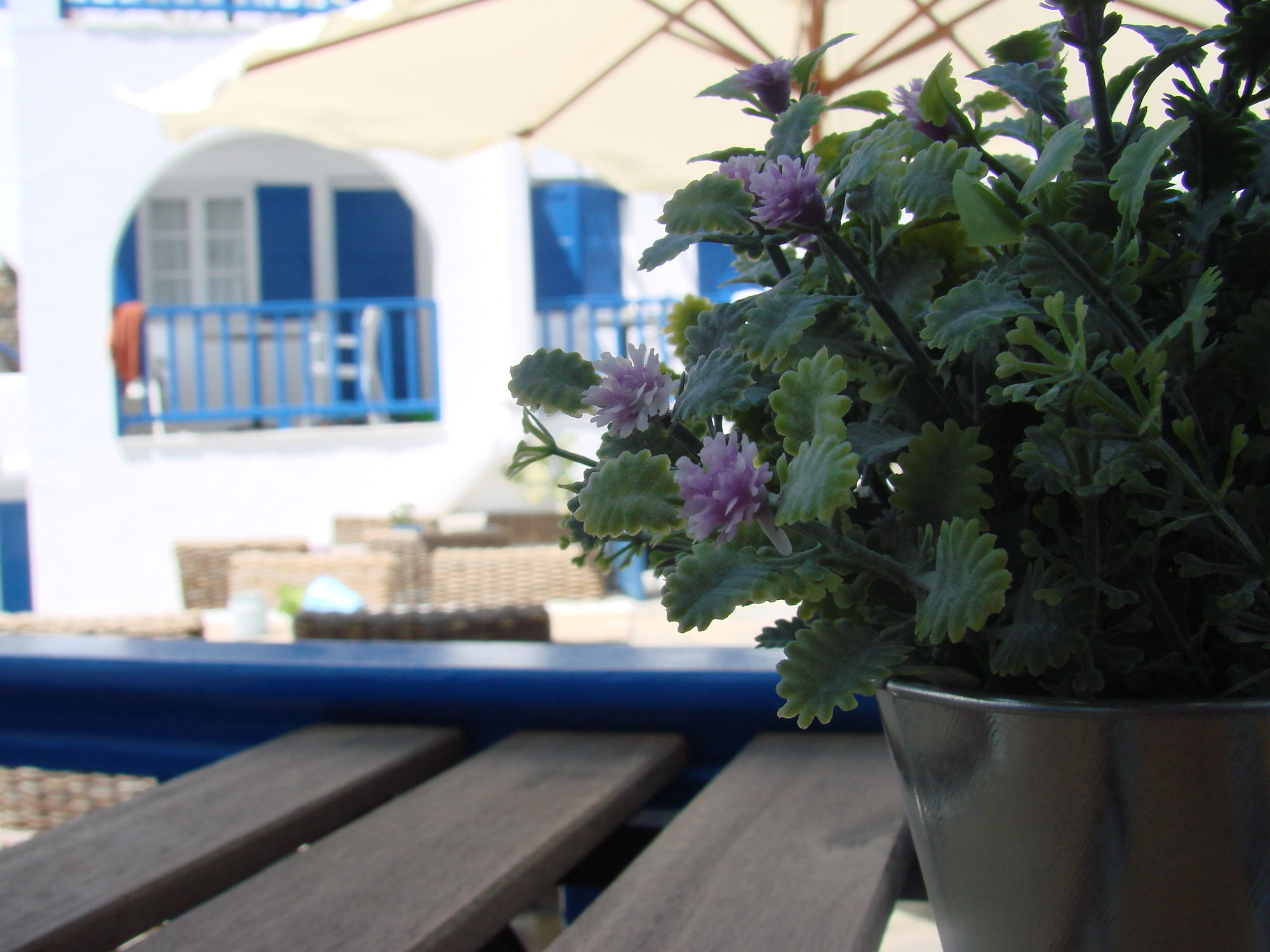 Фото Evi Evan Hotel