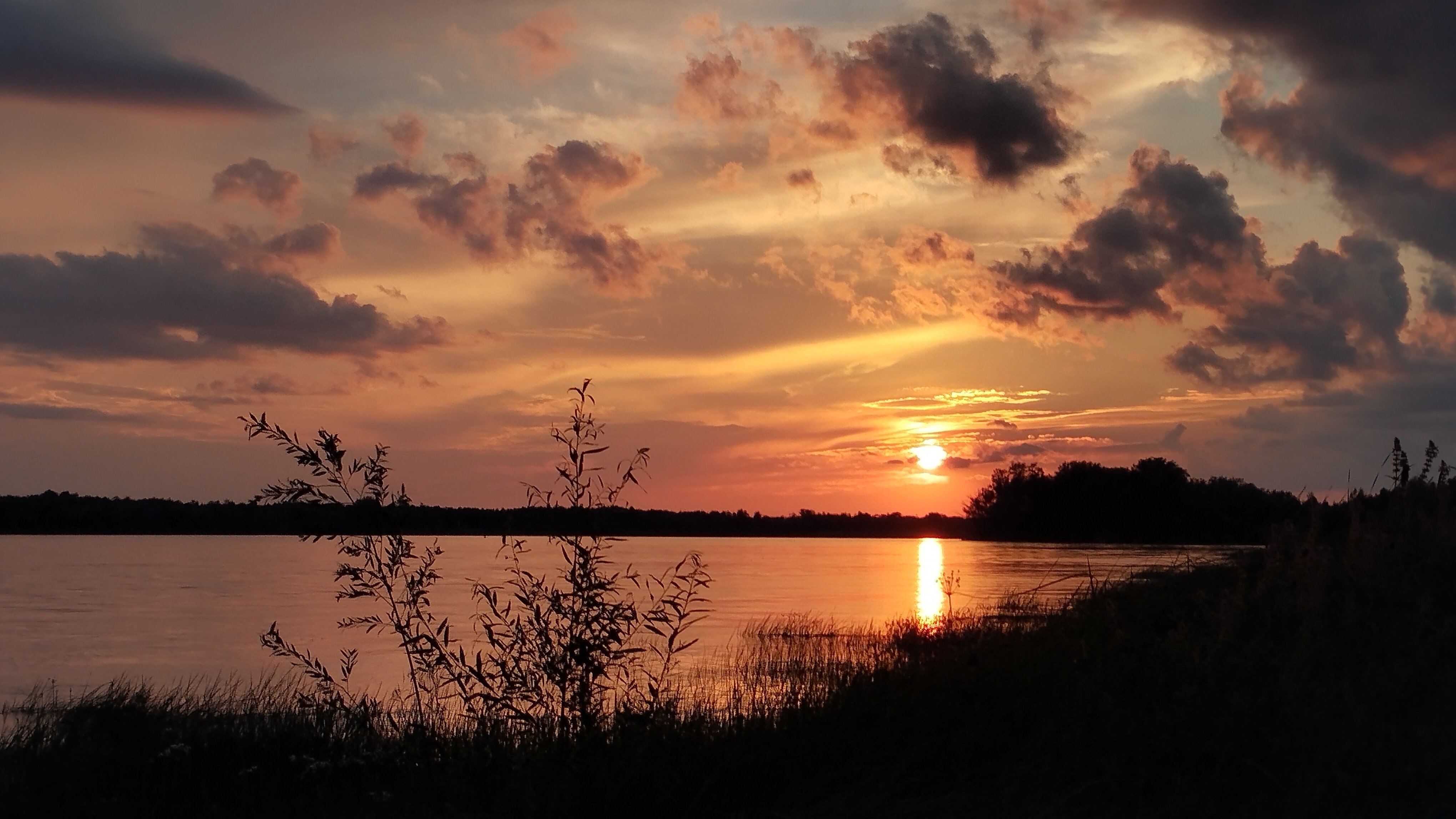 Фото Евромед