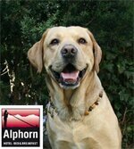 Гостиница Alphorn в Интерлакене
