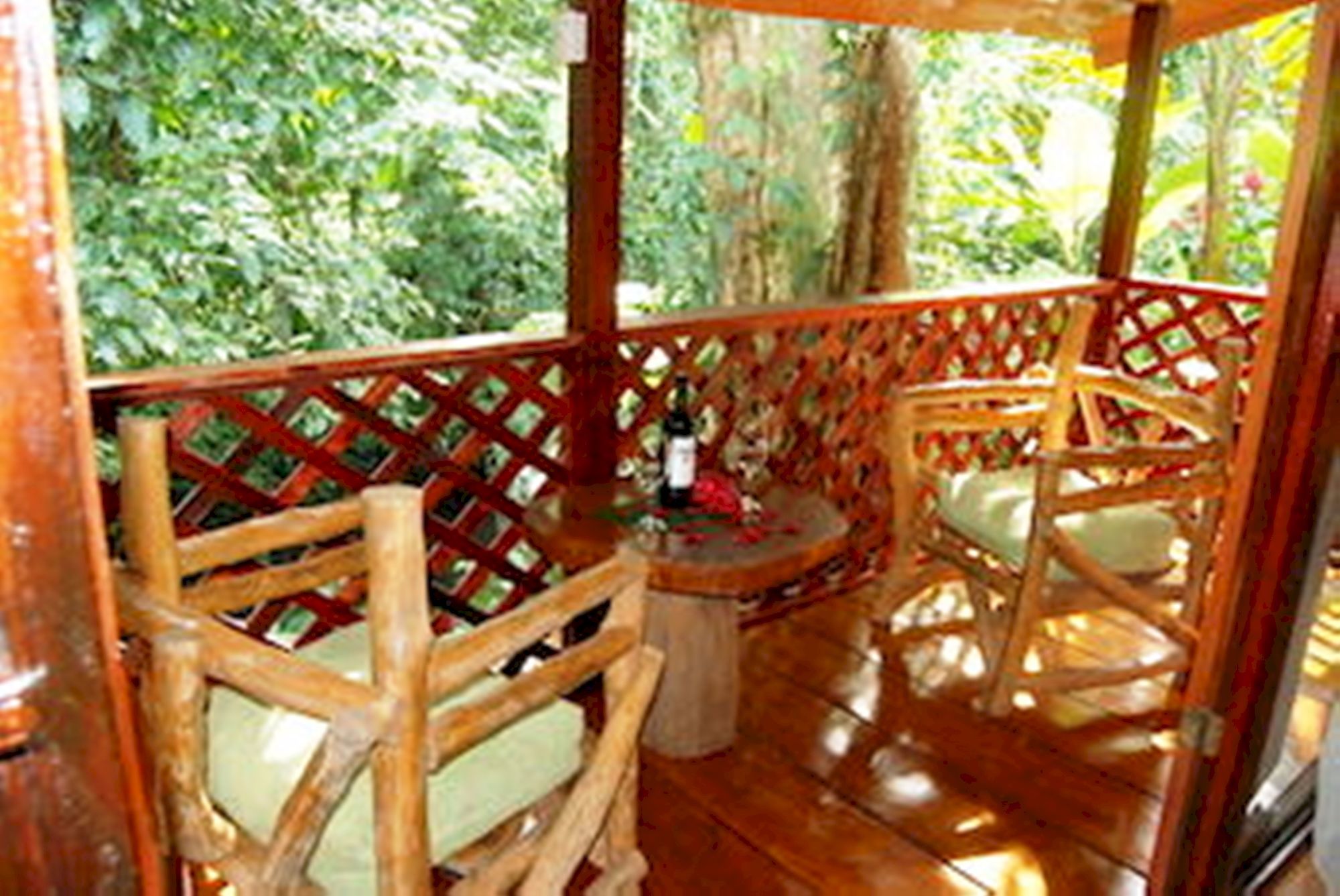 Фото Ara Ambigua Lodge